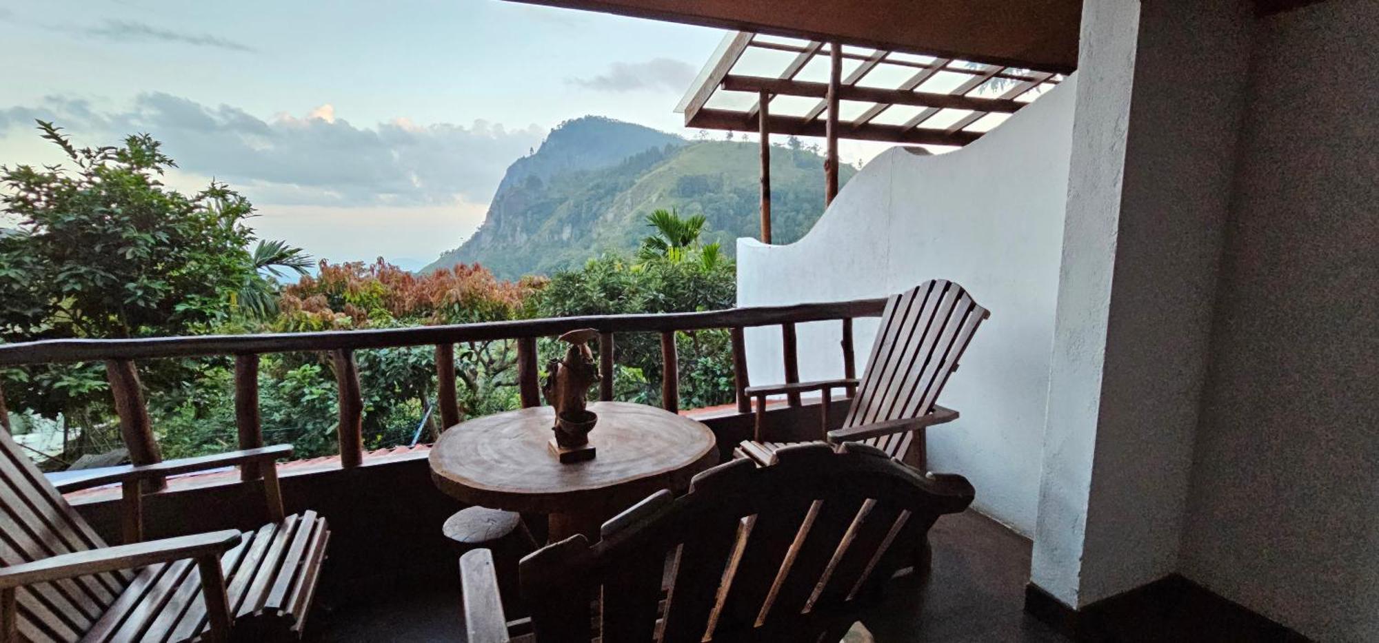 Mount View Guest