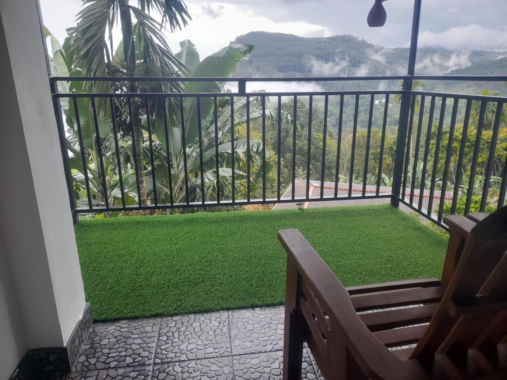 Golden View Guest Ella