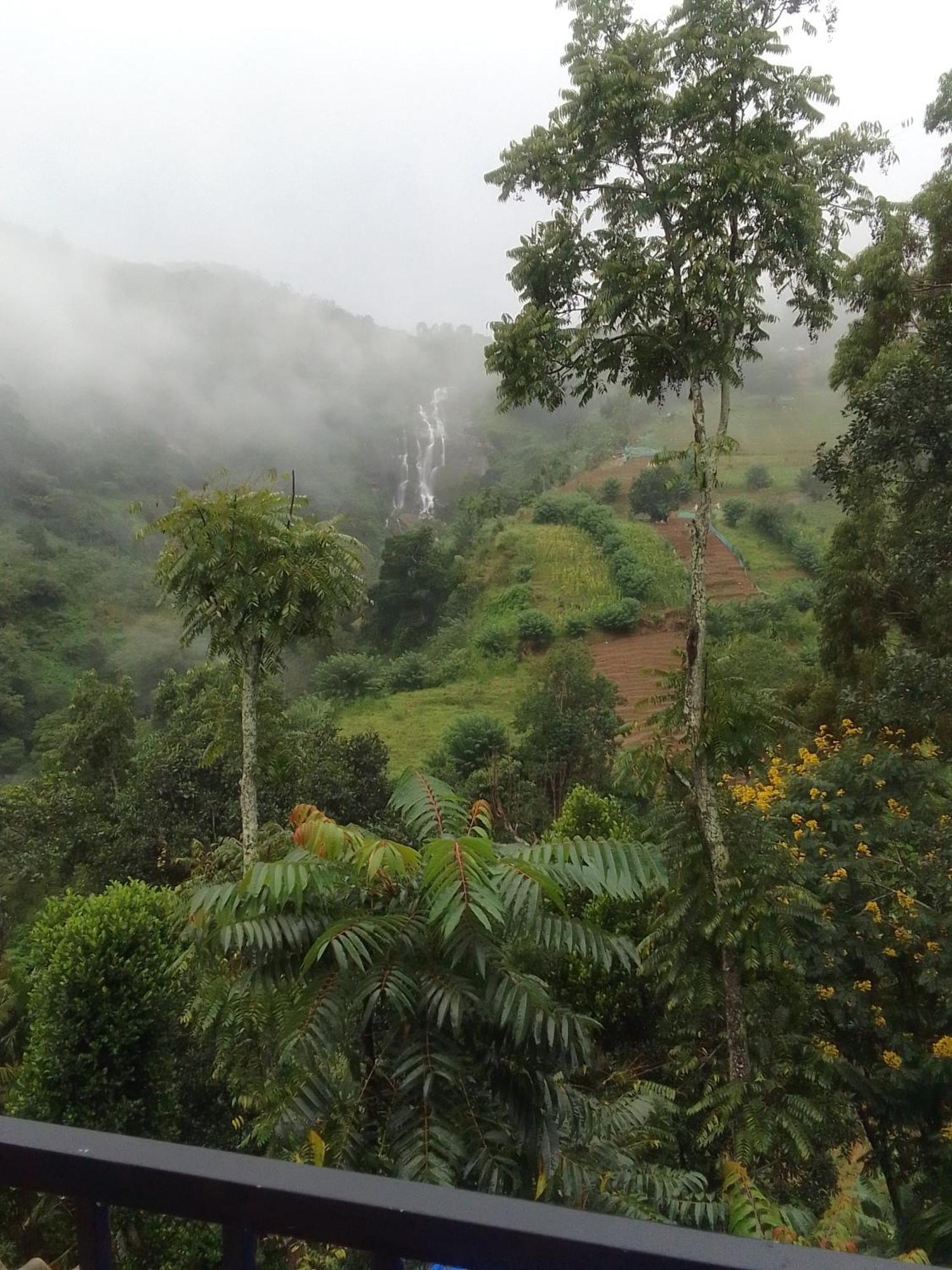 Nature's Glow And Restaurant Homestay Ella