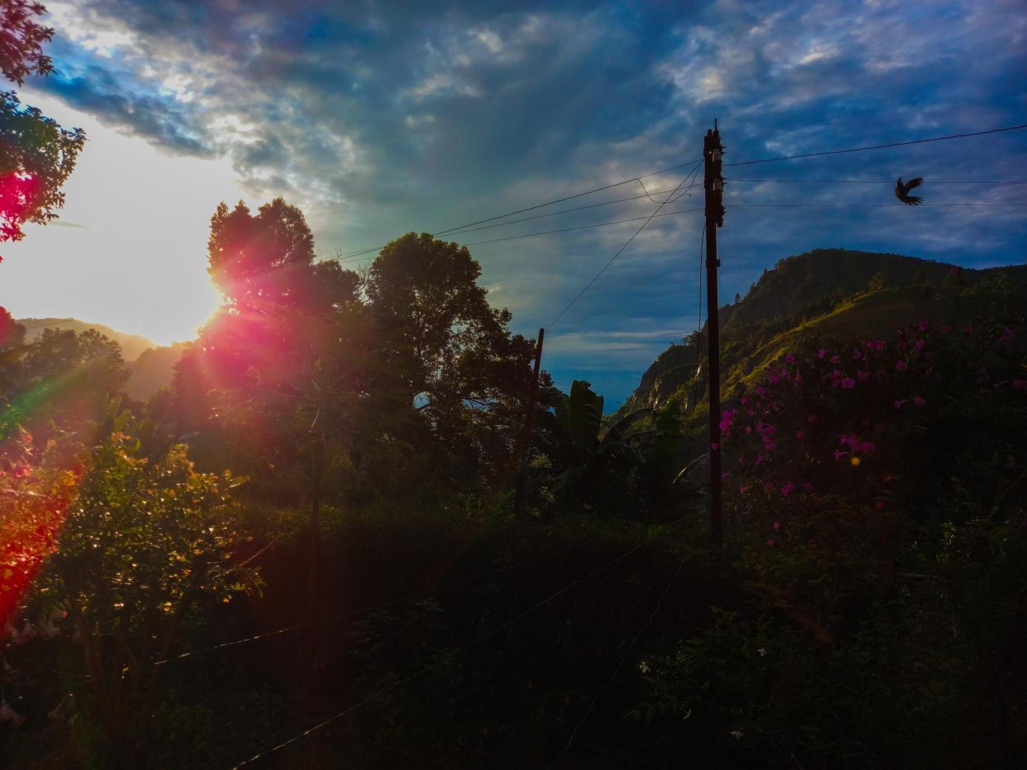 Happy View * Ella