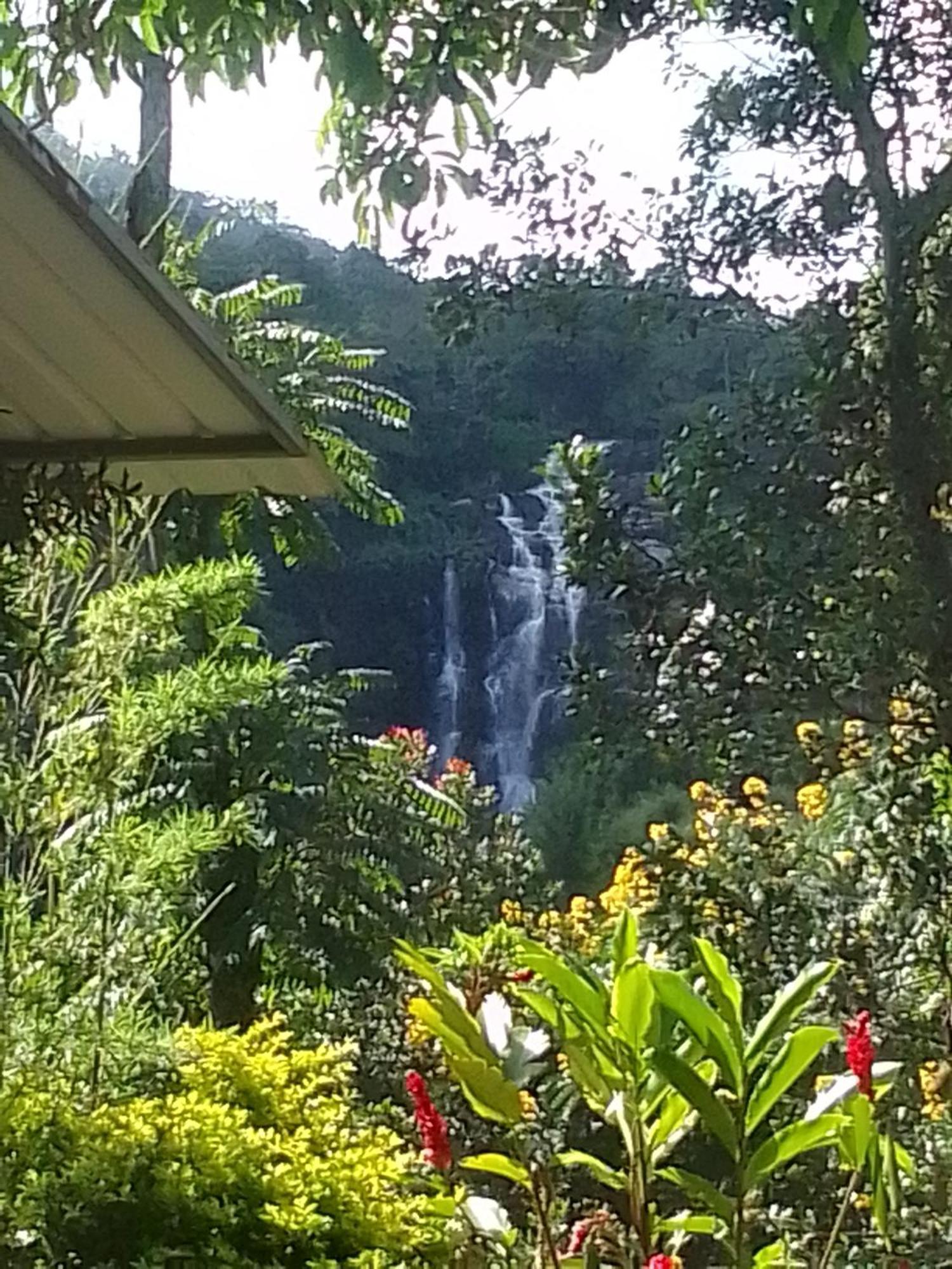 Nature's Glow And Restaurant Homestay