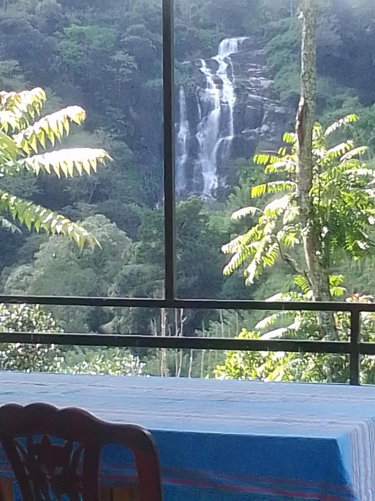 Nature's Glow And Restaurant Homestay *