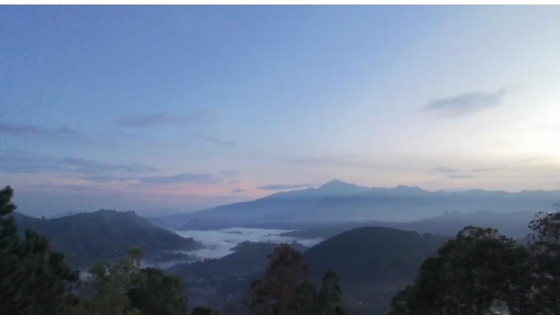 Bed & Breakfast Mountain Peak *