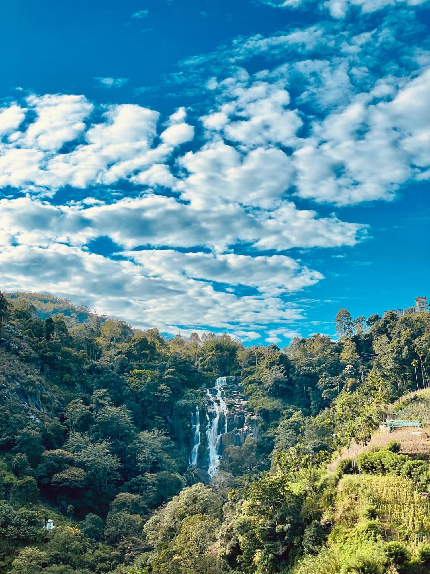 Waterfall View