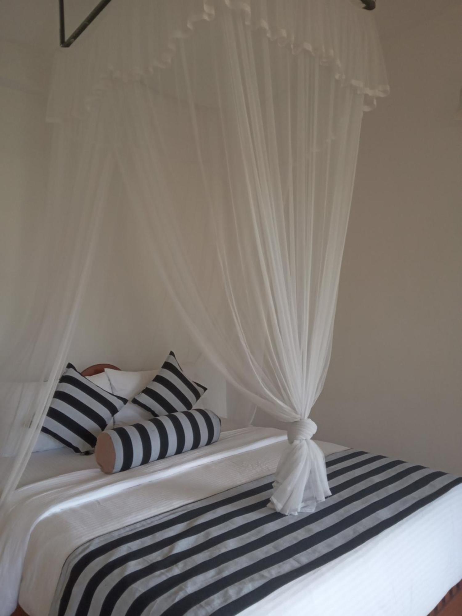 Saddle Bed & Breakfast