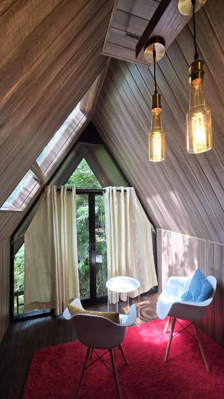 Area 4 Eco Cubes Apartment