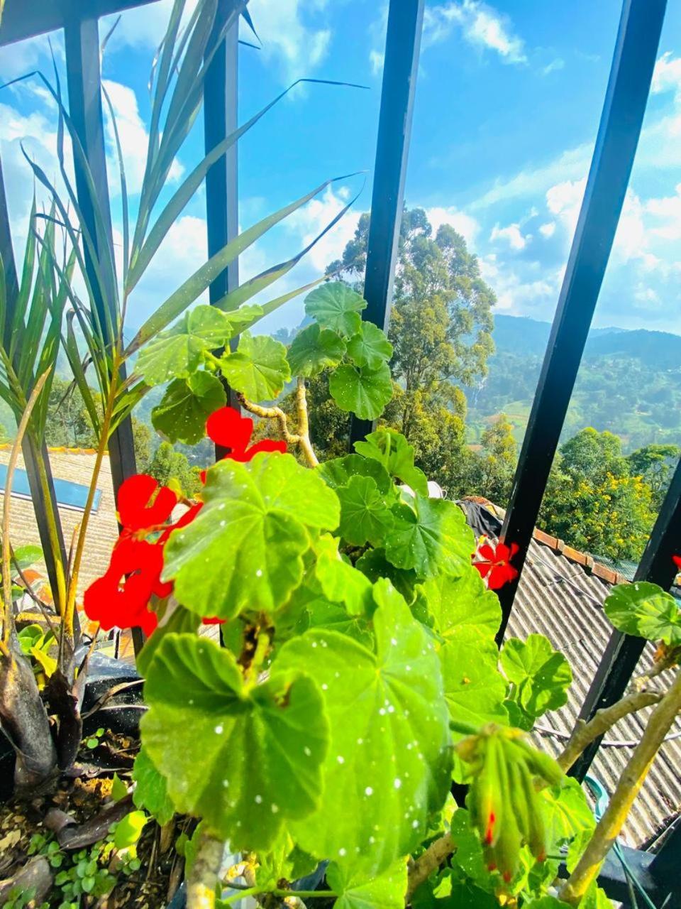 Pleasant Peak Bed & Breakfast *