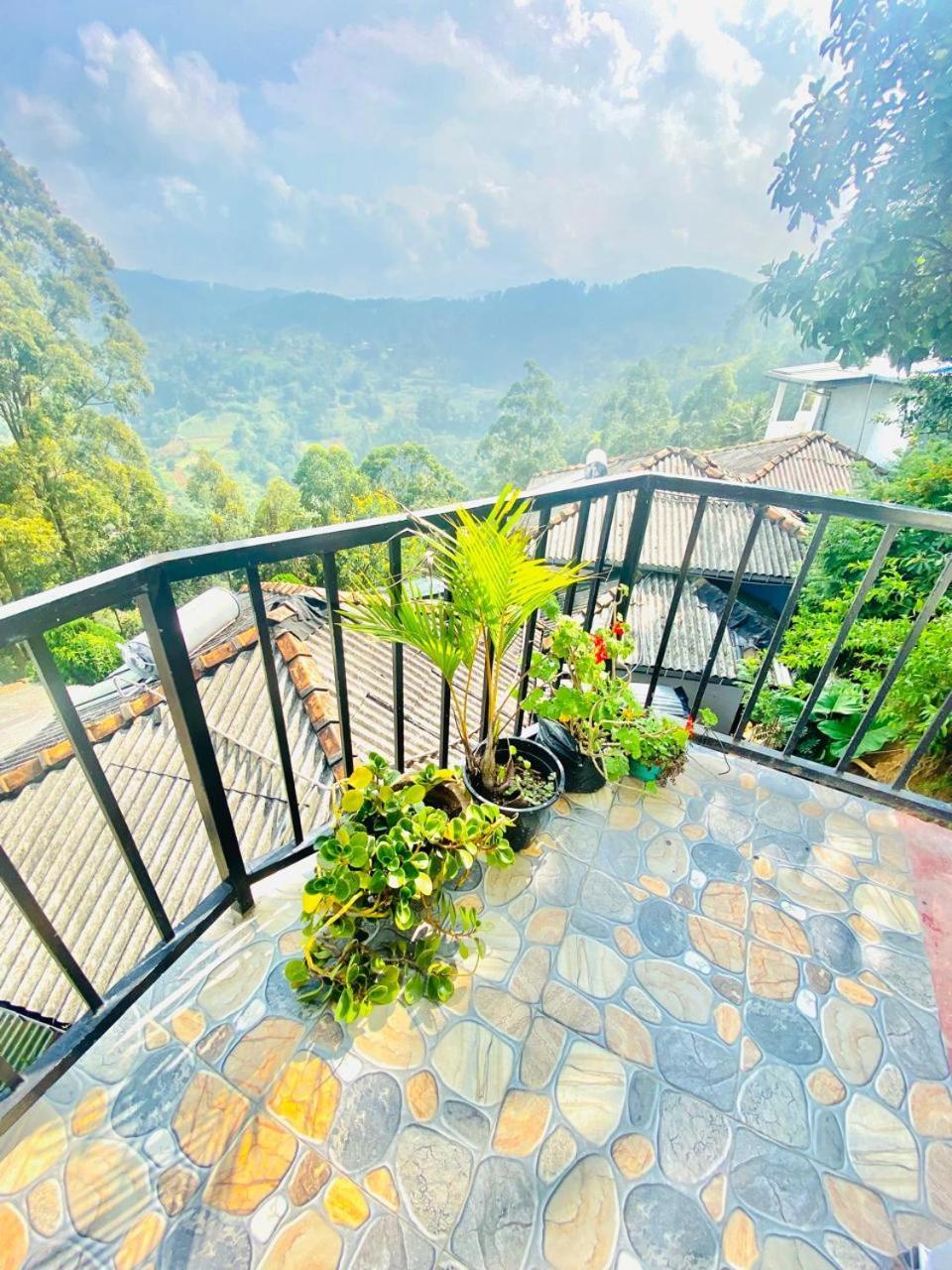 Pleasant Peak *