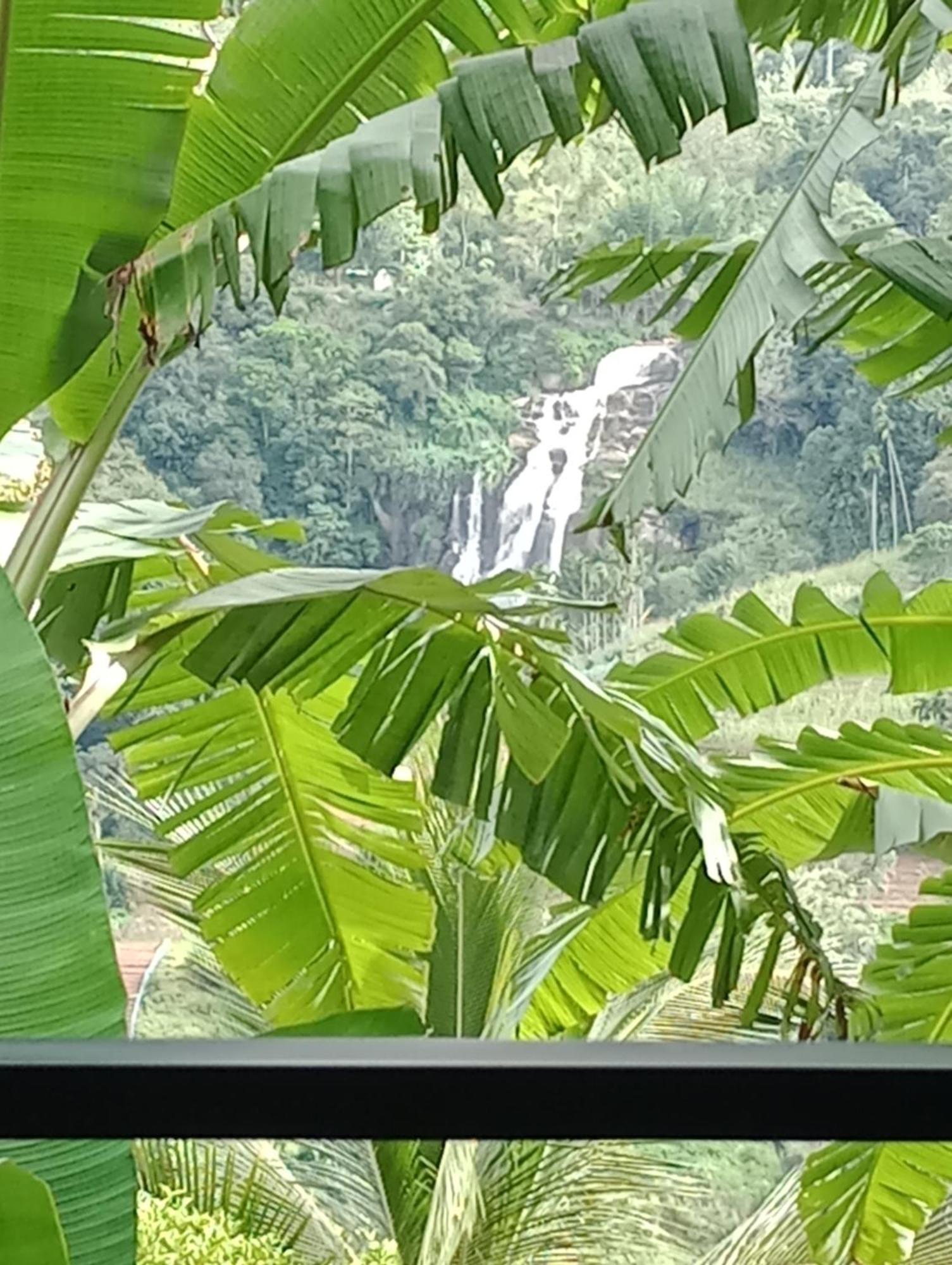 Lush In Guest house