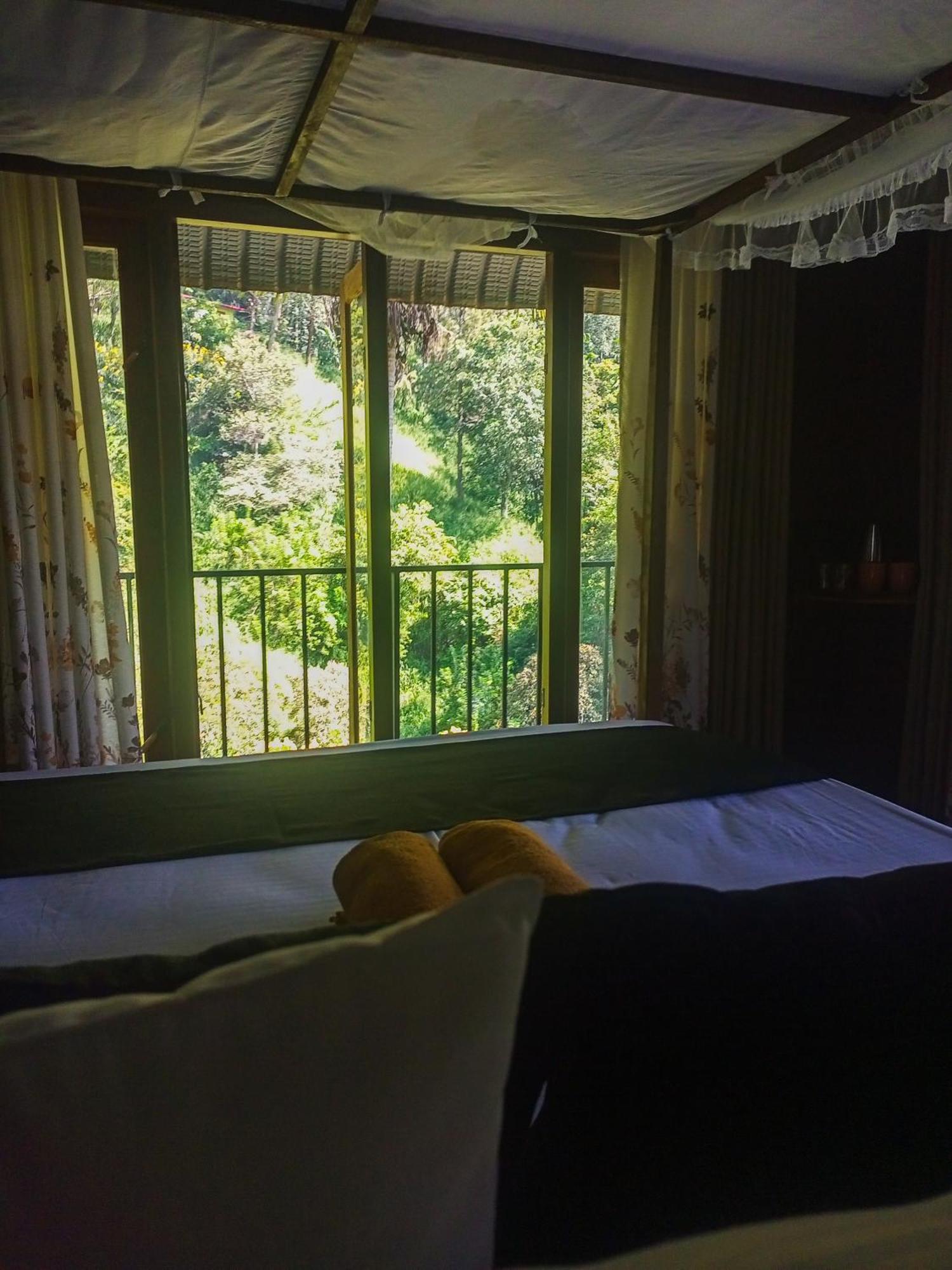 Creek Downhills Bed & Breakfast
