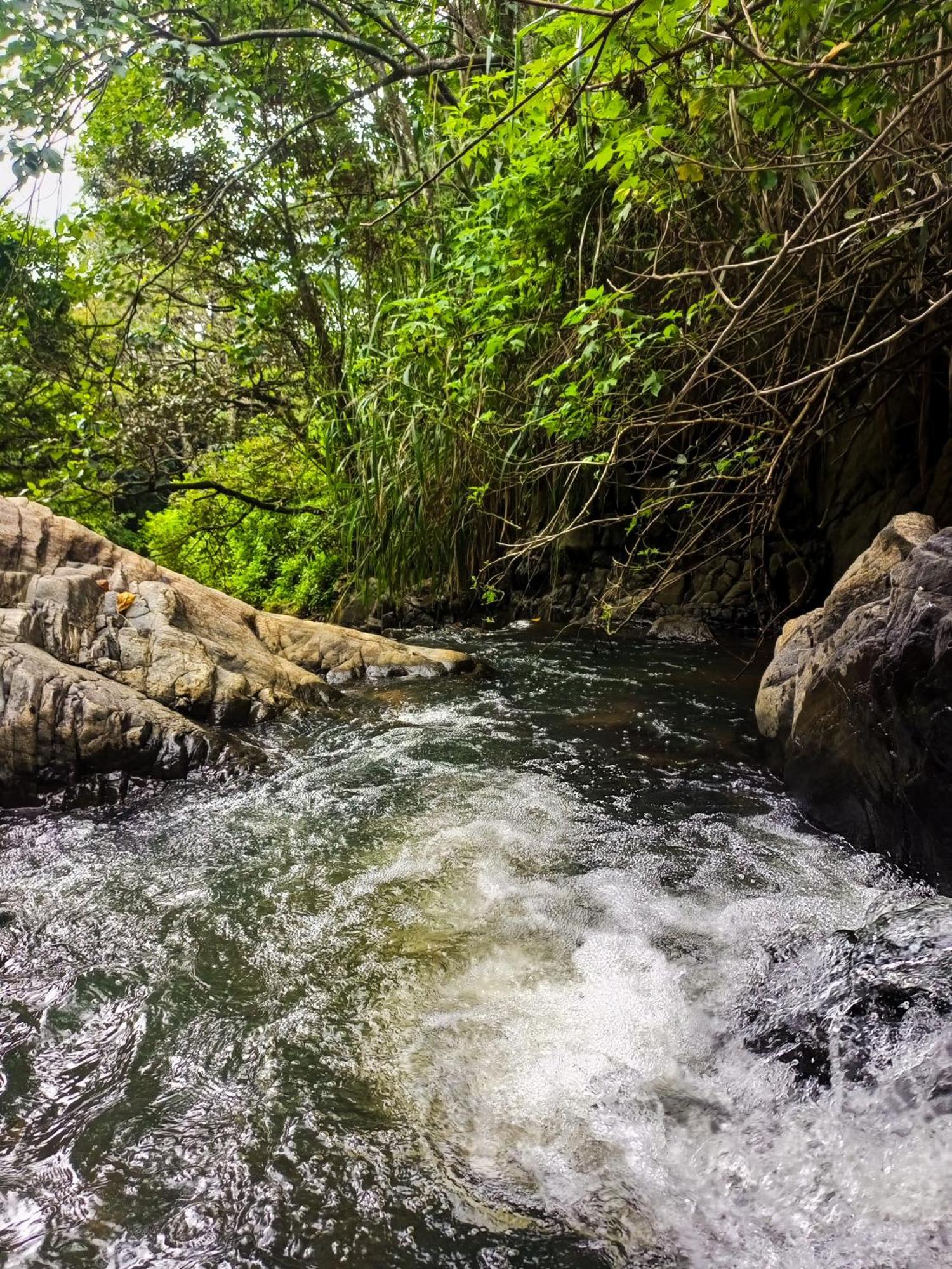 Creek Downhills * Ella