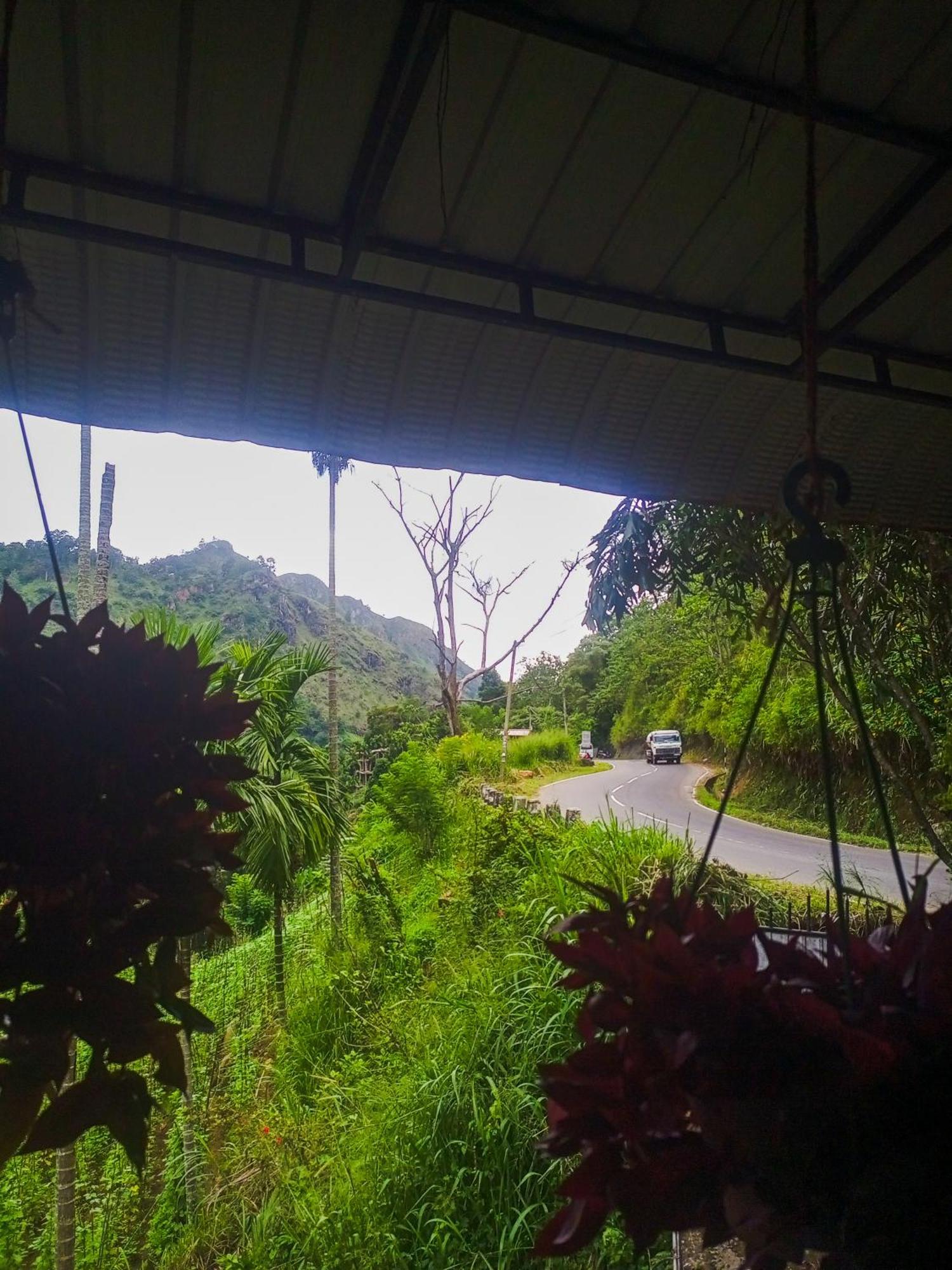 Creek Downhills *