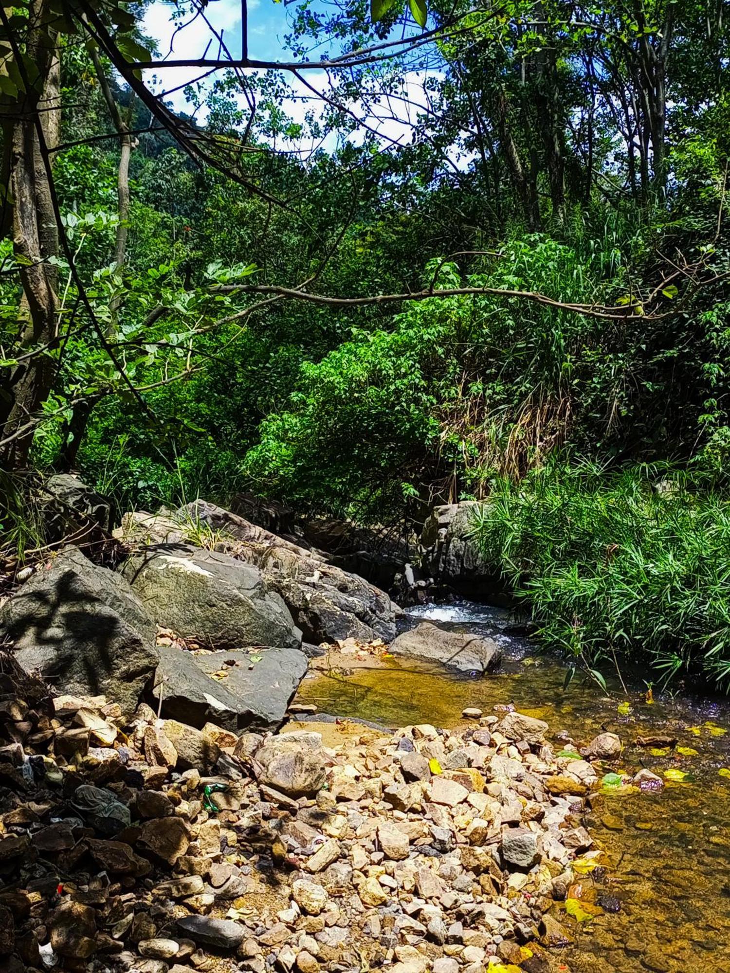 Creek Downhills Ella