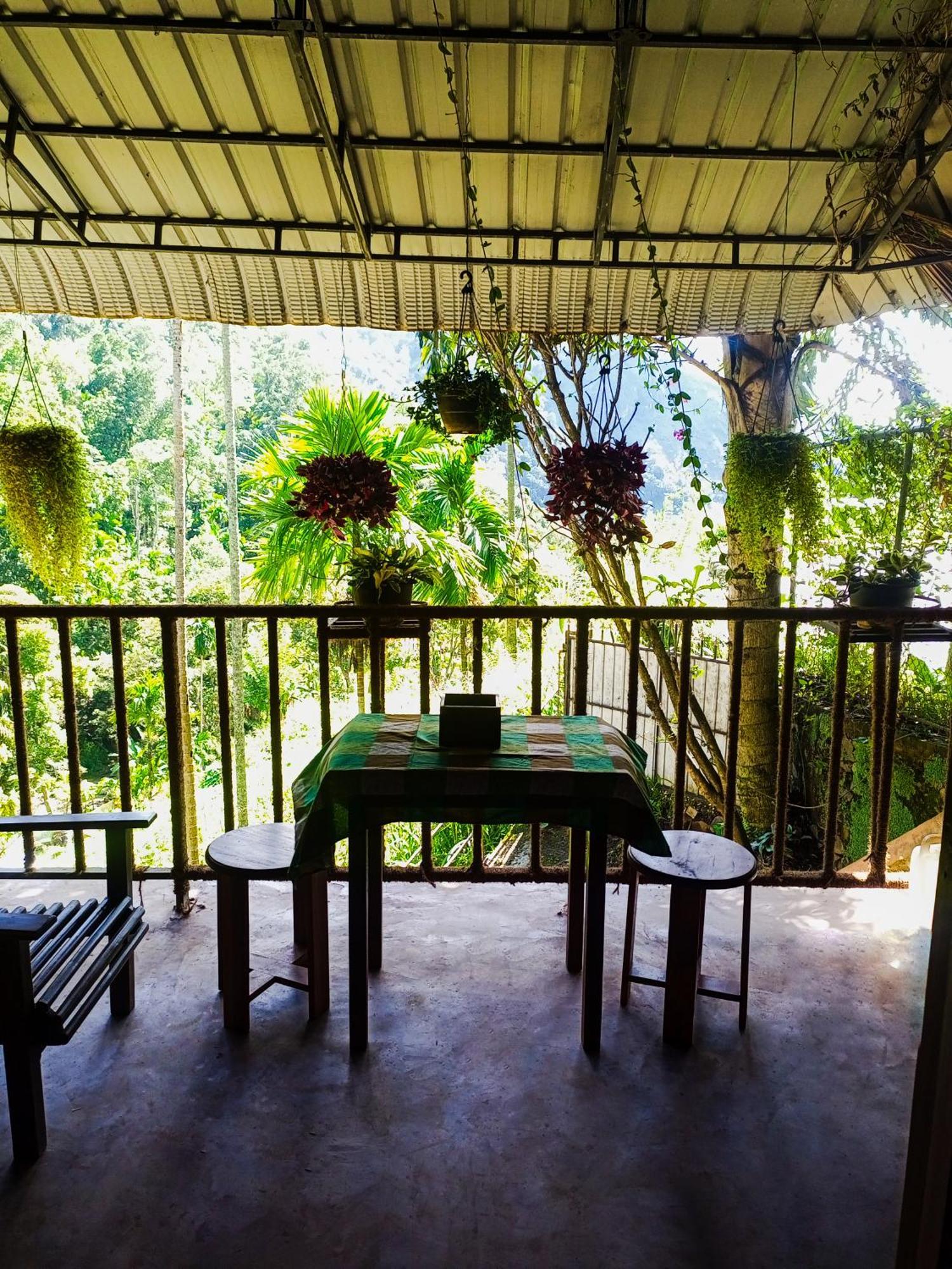 Creek Downhills Bed & Breakfast