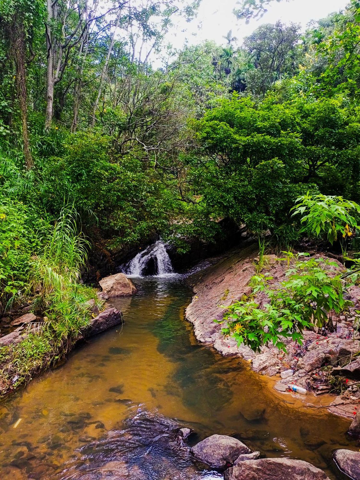 Creek Downhills Ella