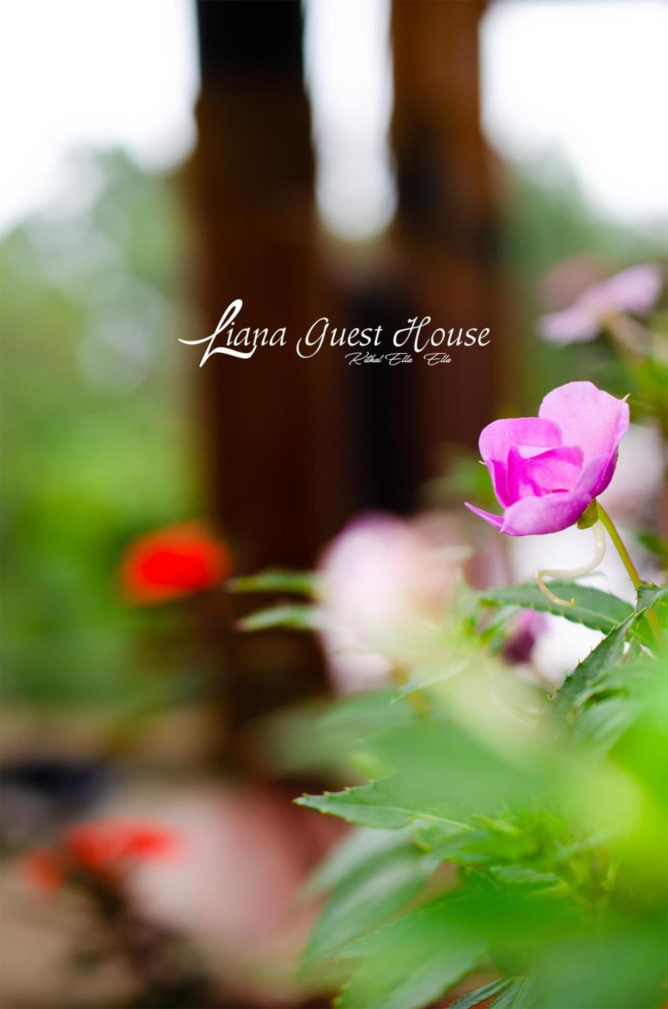Guest house Liana