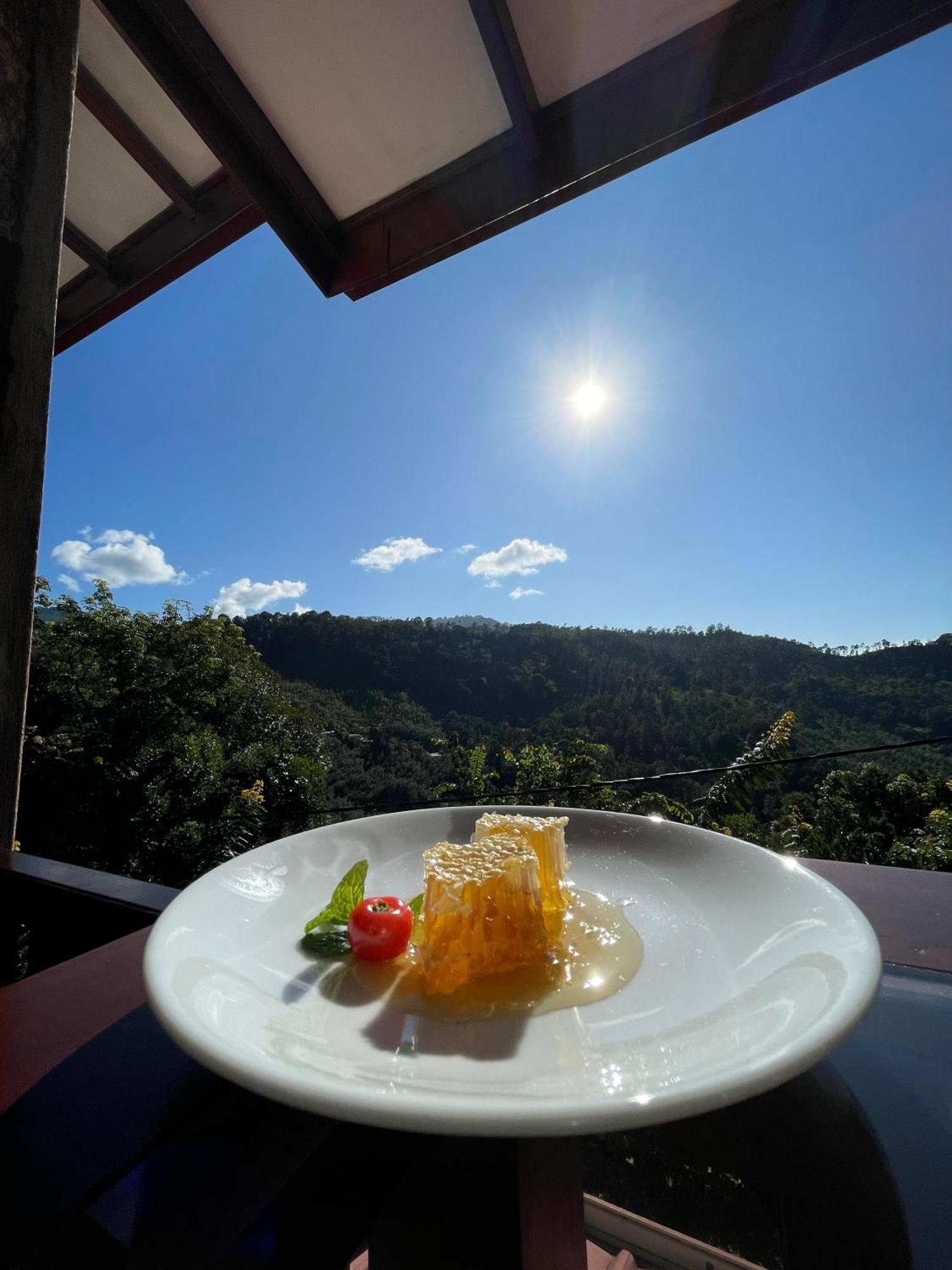 H3 Hilltop Heaven Inn *