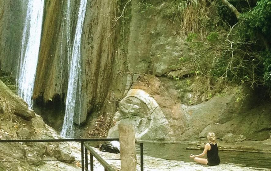 Jungle 3* Ella