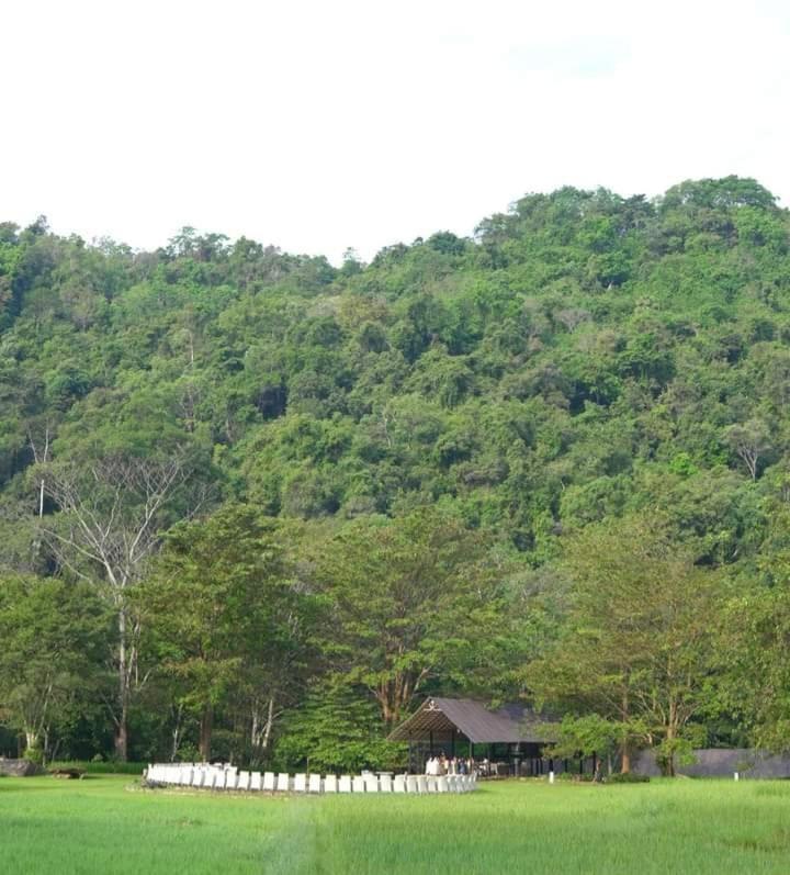 Jungle Resort 3*