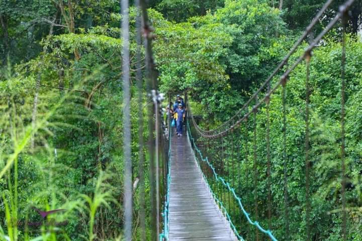 Resort Jungle 3*