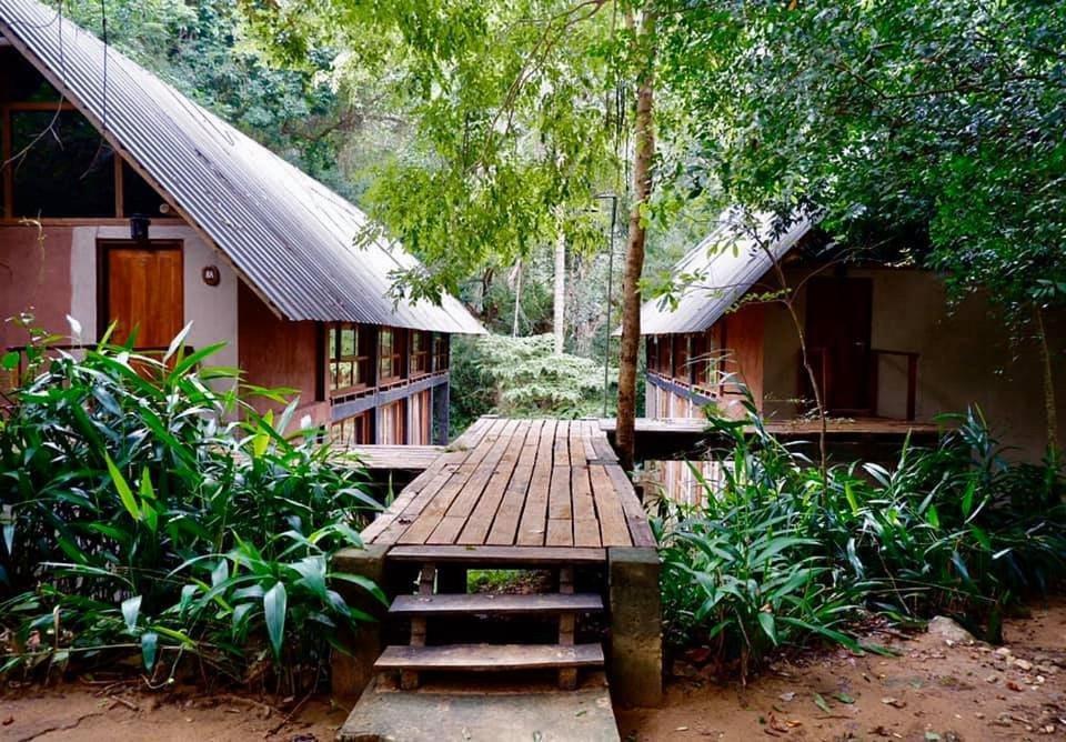 Resort Jungle 3*