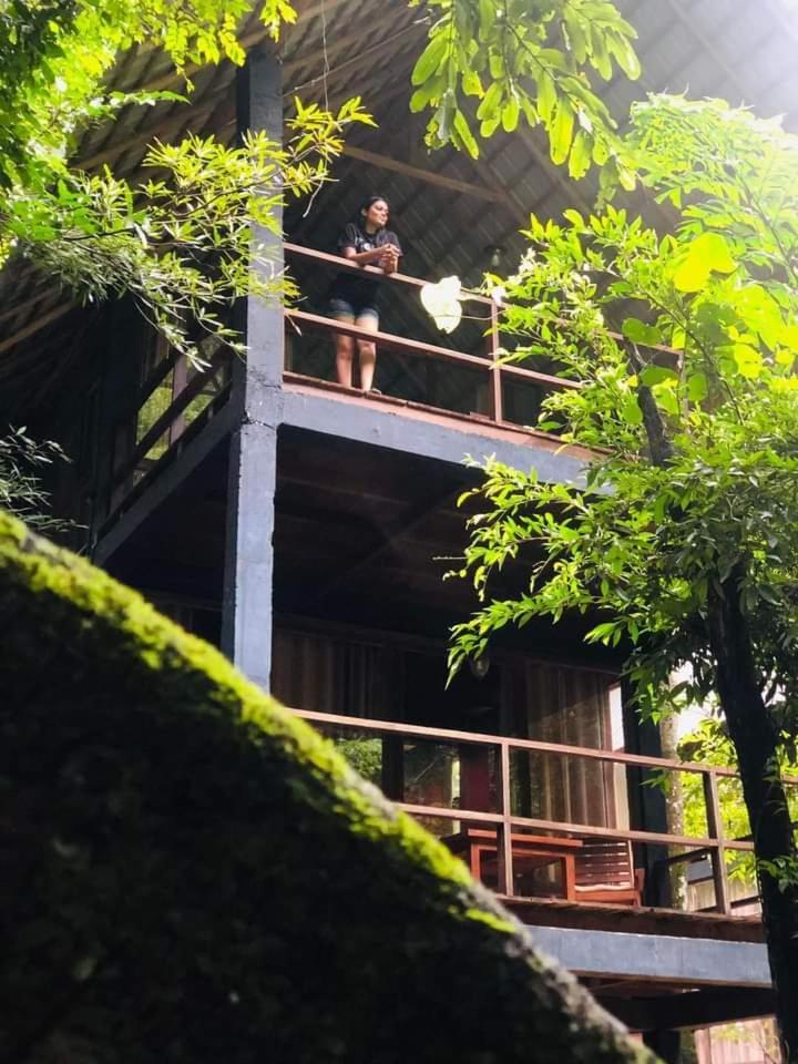 Jungle Resort Ella