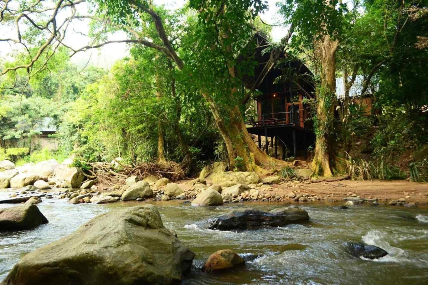 Jungle 3*