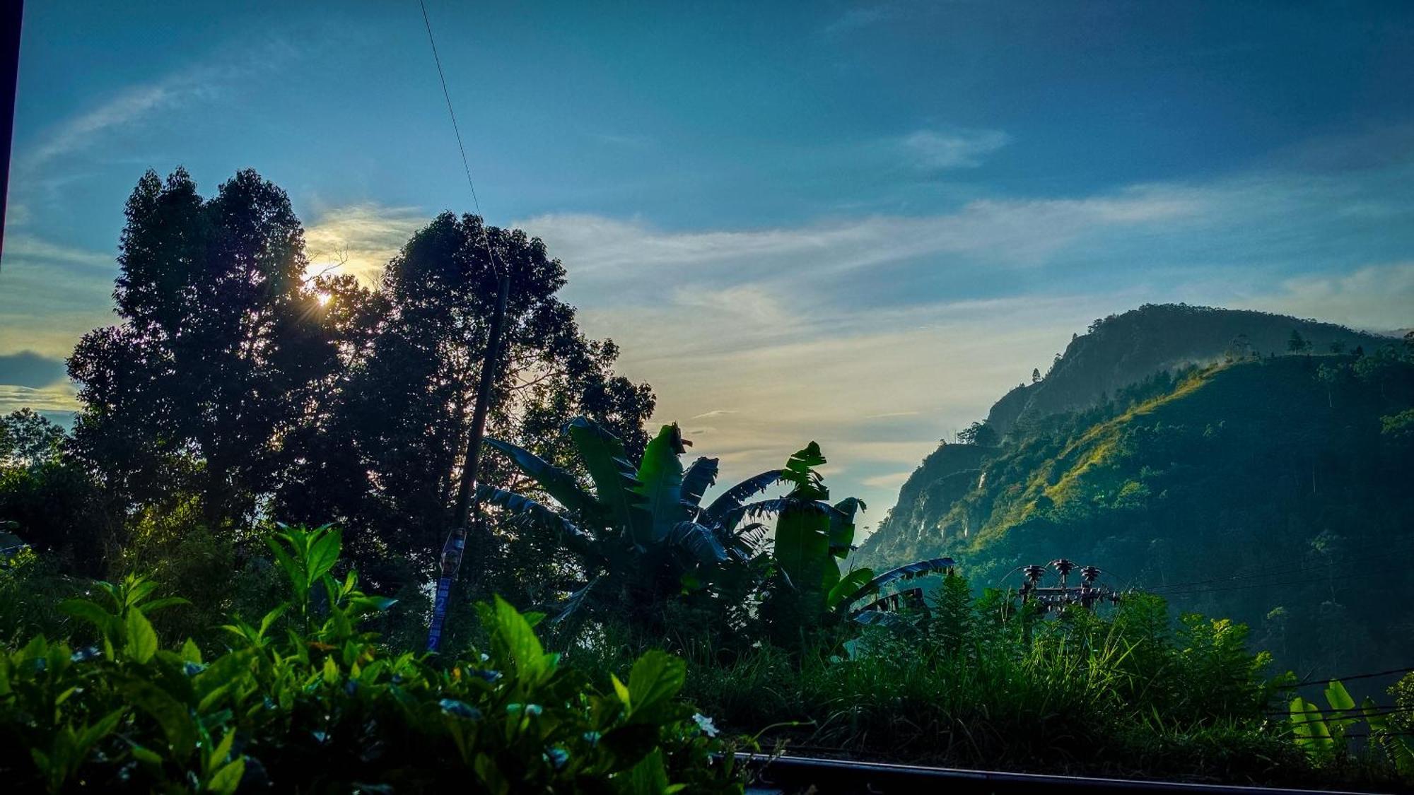 Homestay Happy View