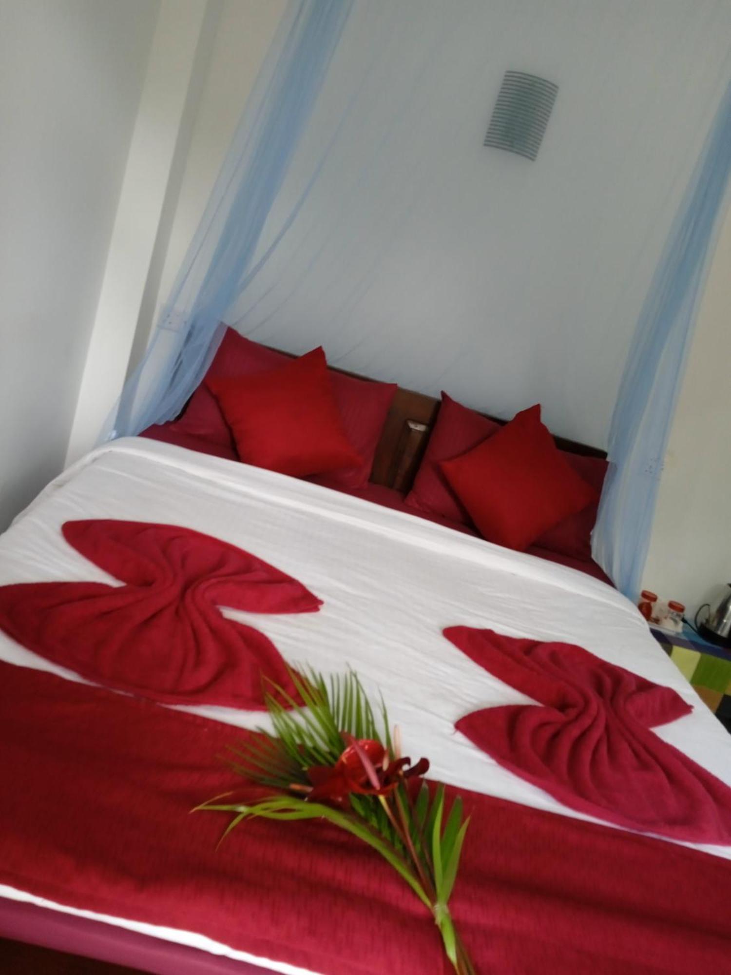 Nine Arch Corner Homestay *