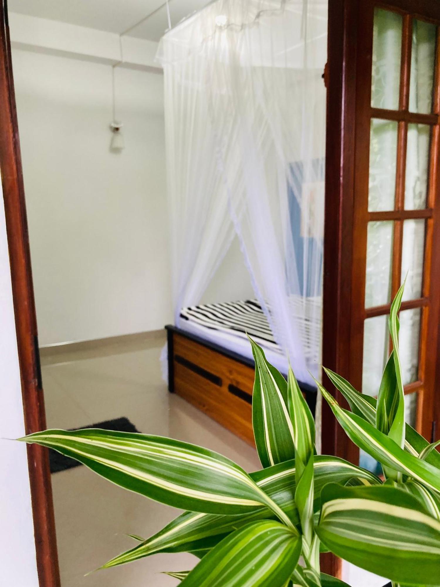 Curve Guest house