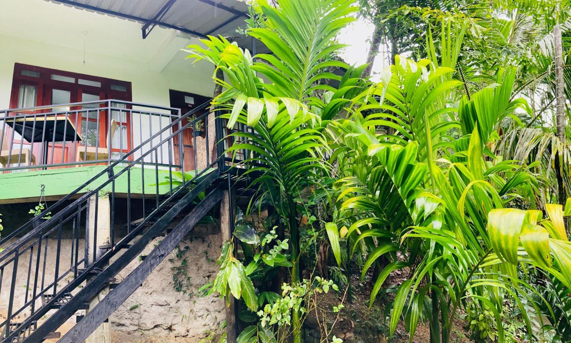 Guest house Curve Ella