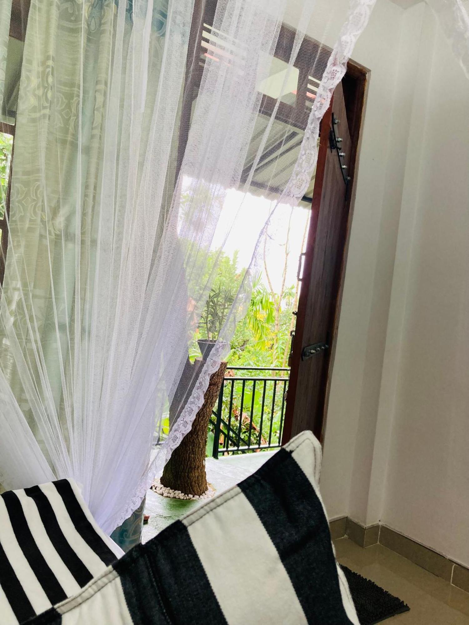 Guest house Curve Ella