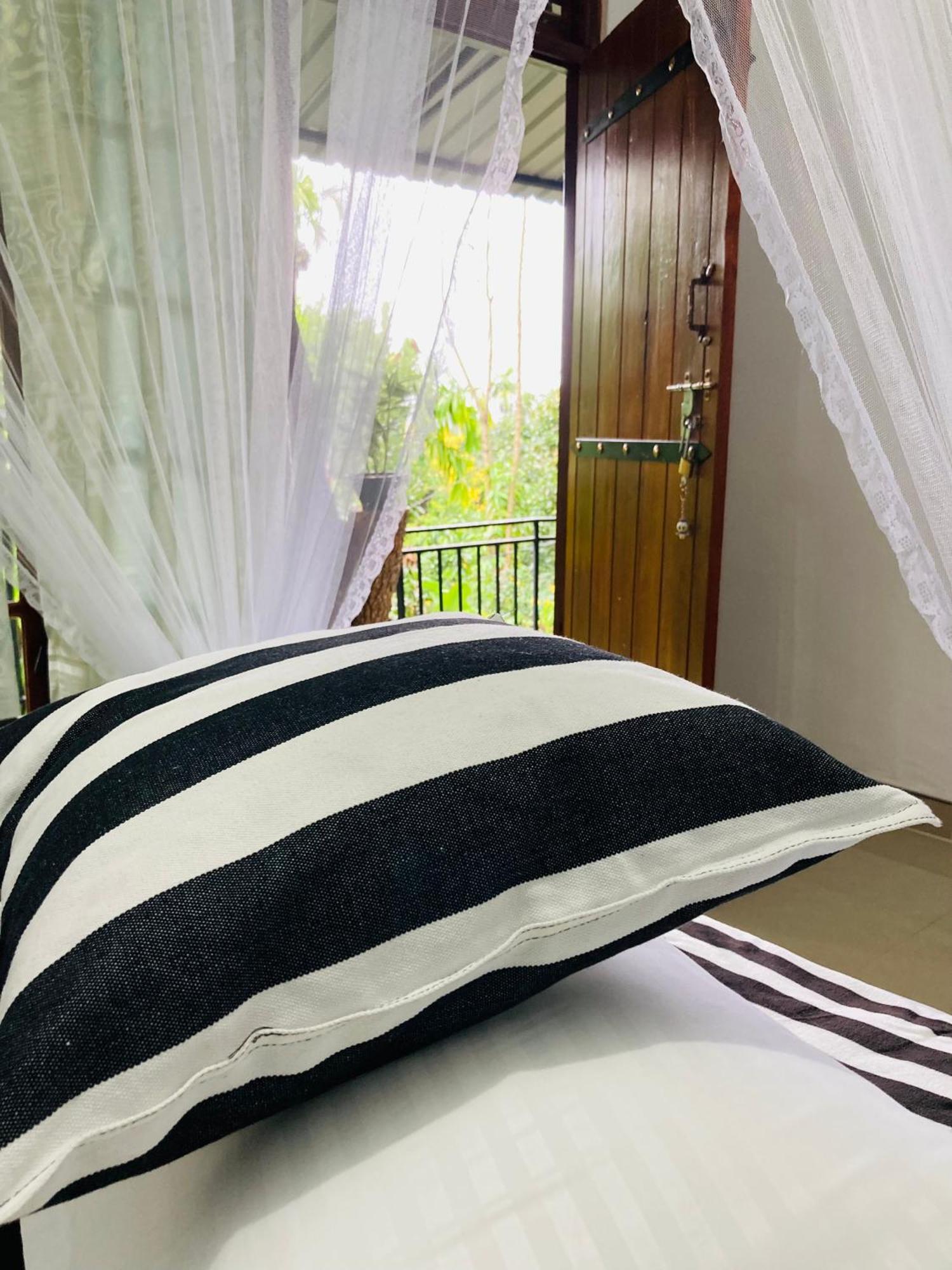 Guest house Curve