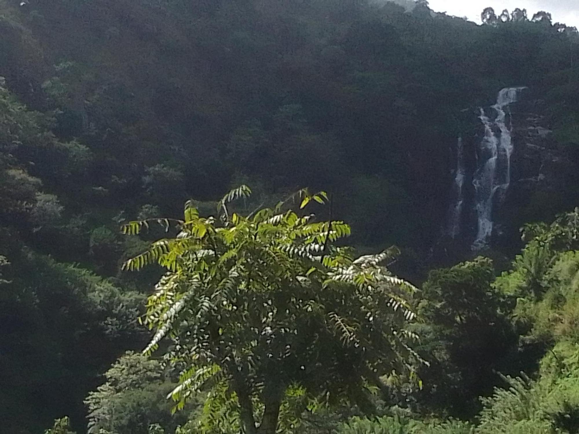 Natures Glow Homestay *