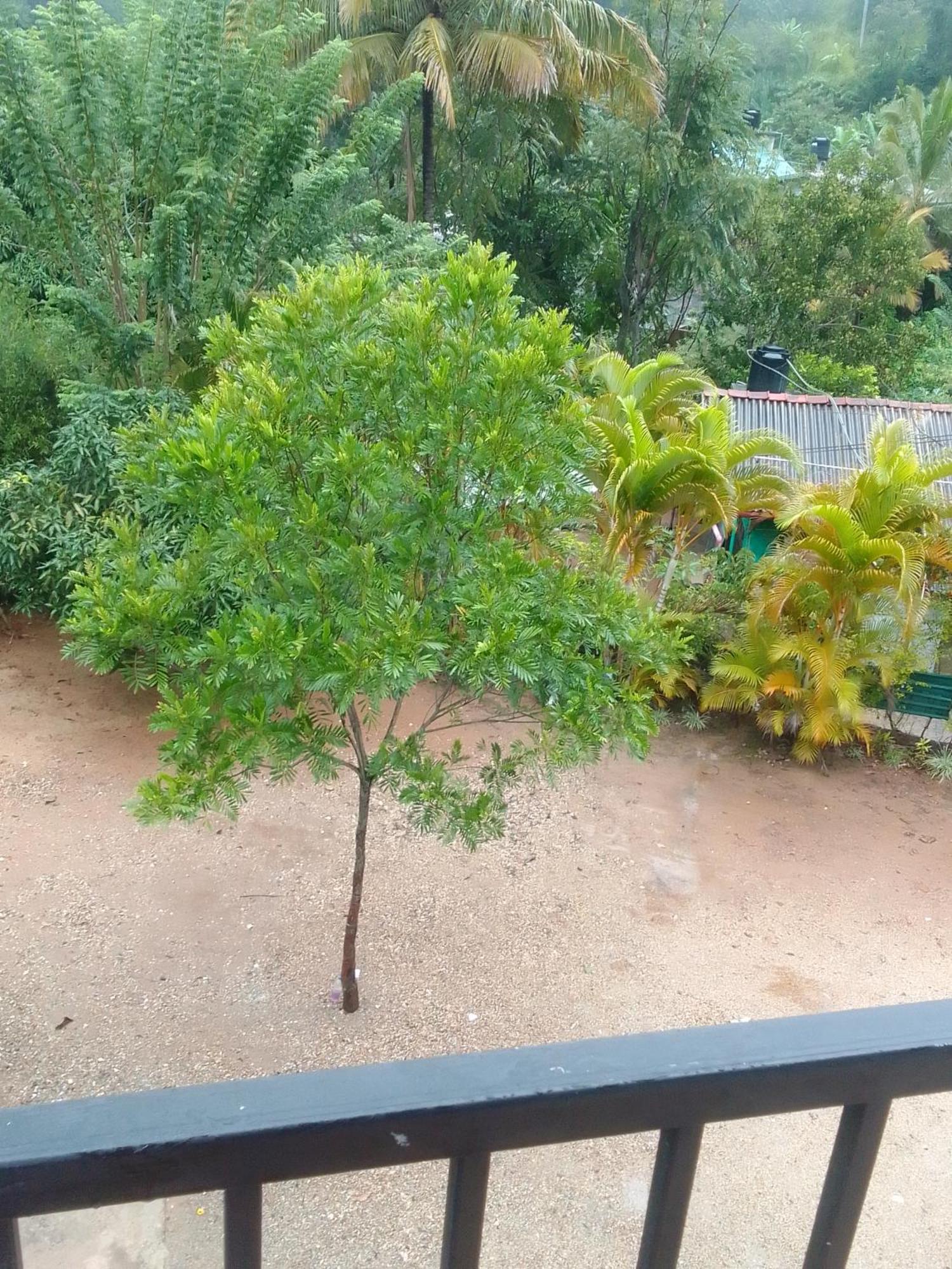 Natures Glow Homestay