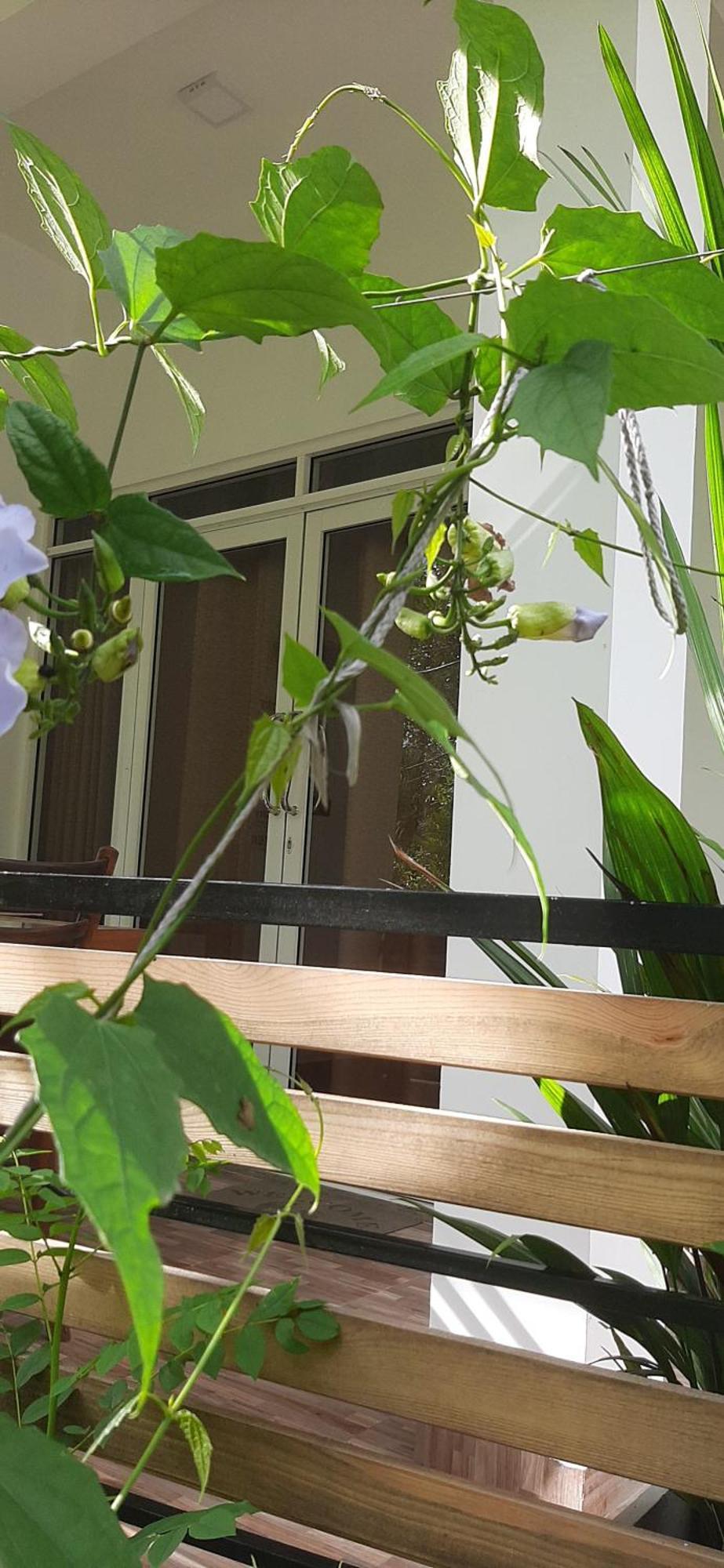 Dhanudi Homestay