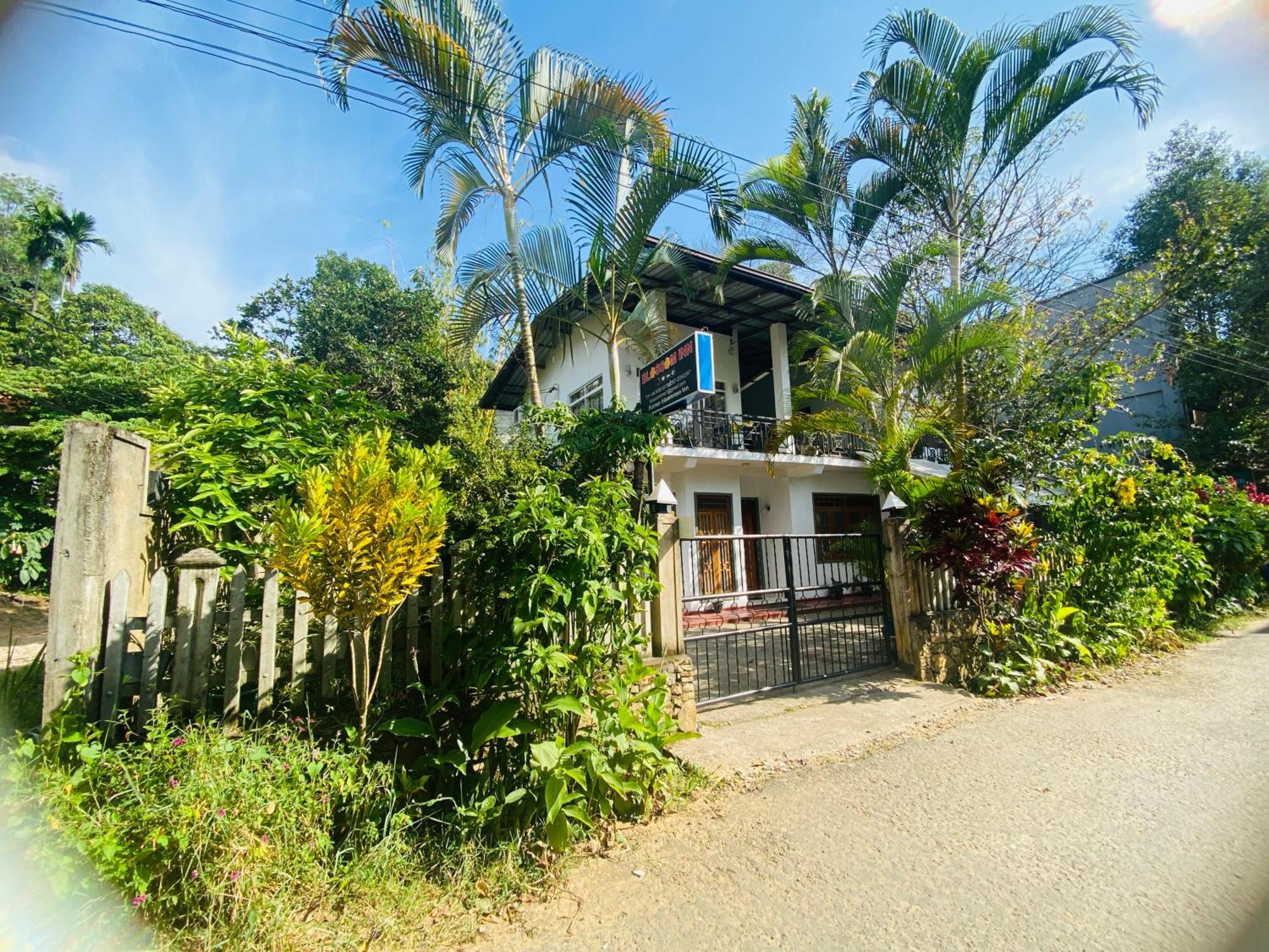 Homestay Blossom