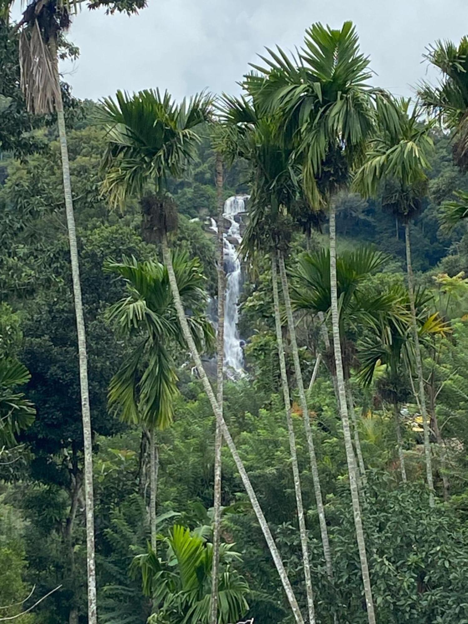 Cozy Waterfall Road