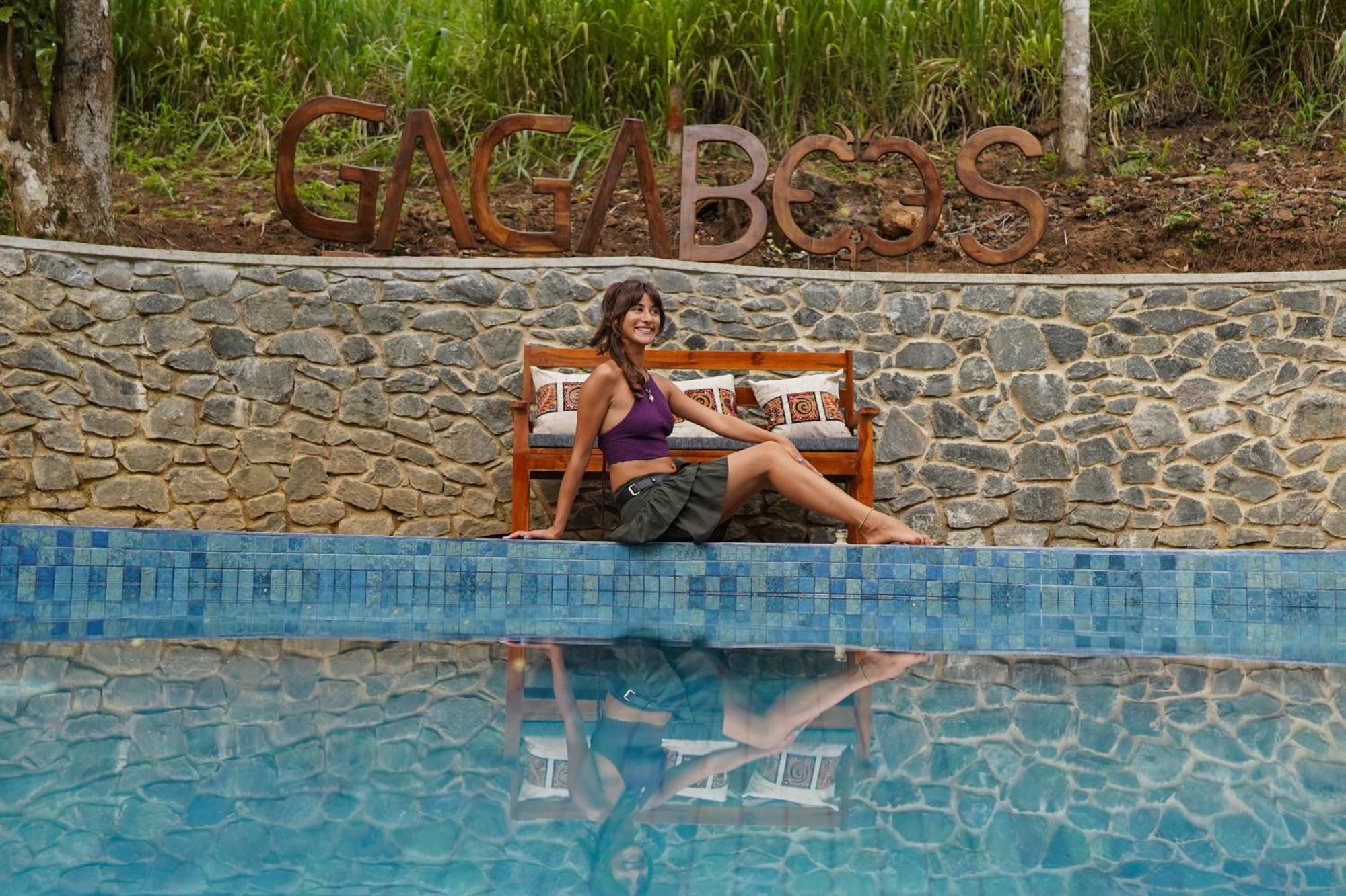 Resort Gaga Bees