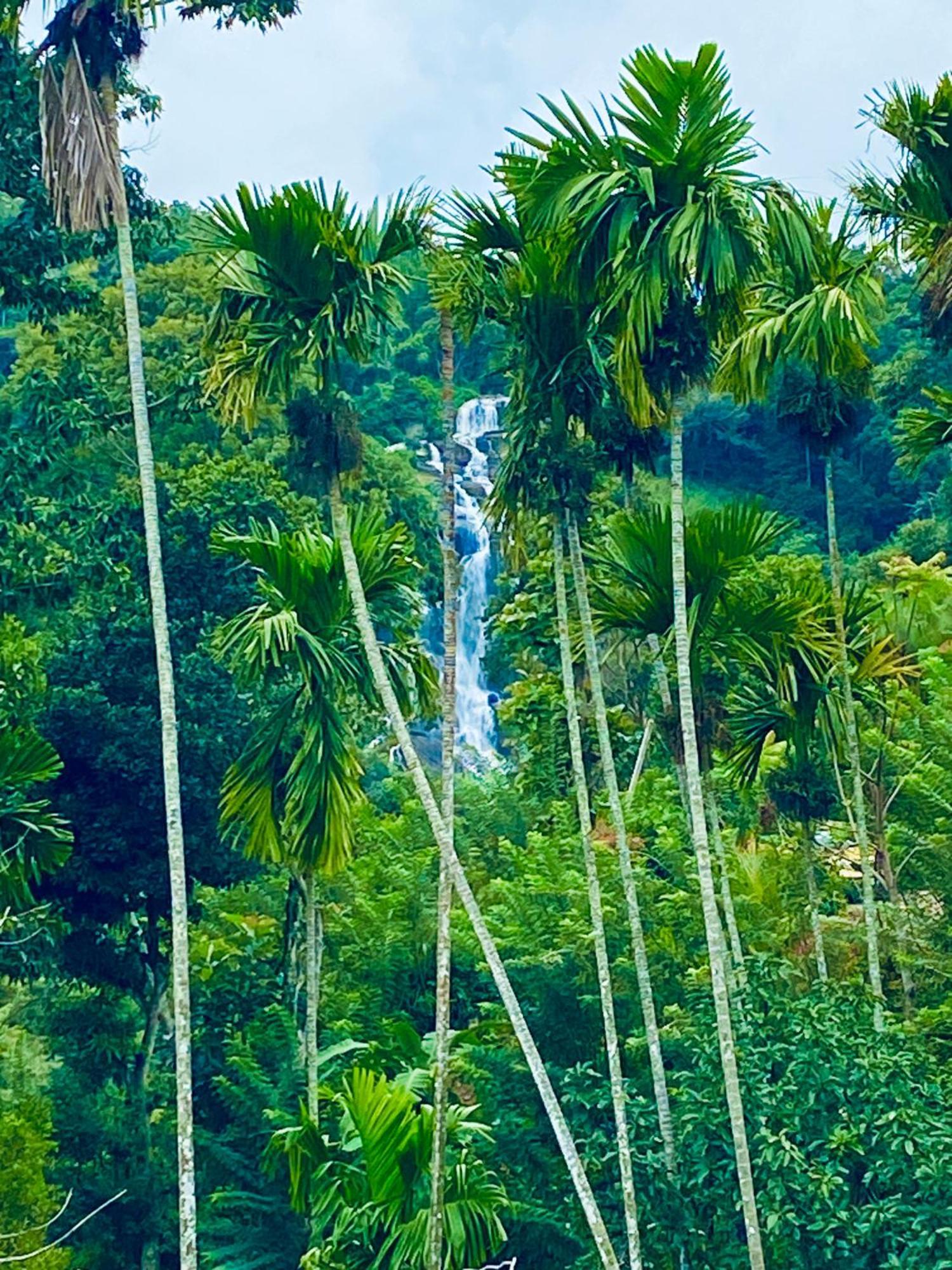 Cozy Waterfall Road