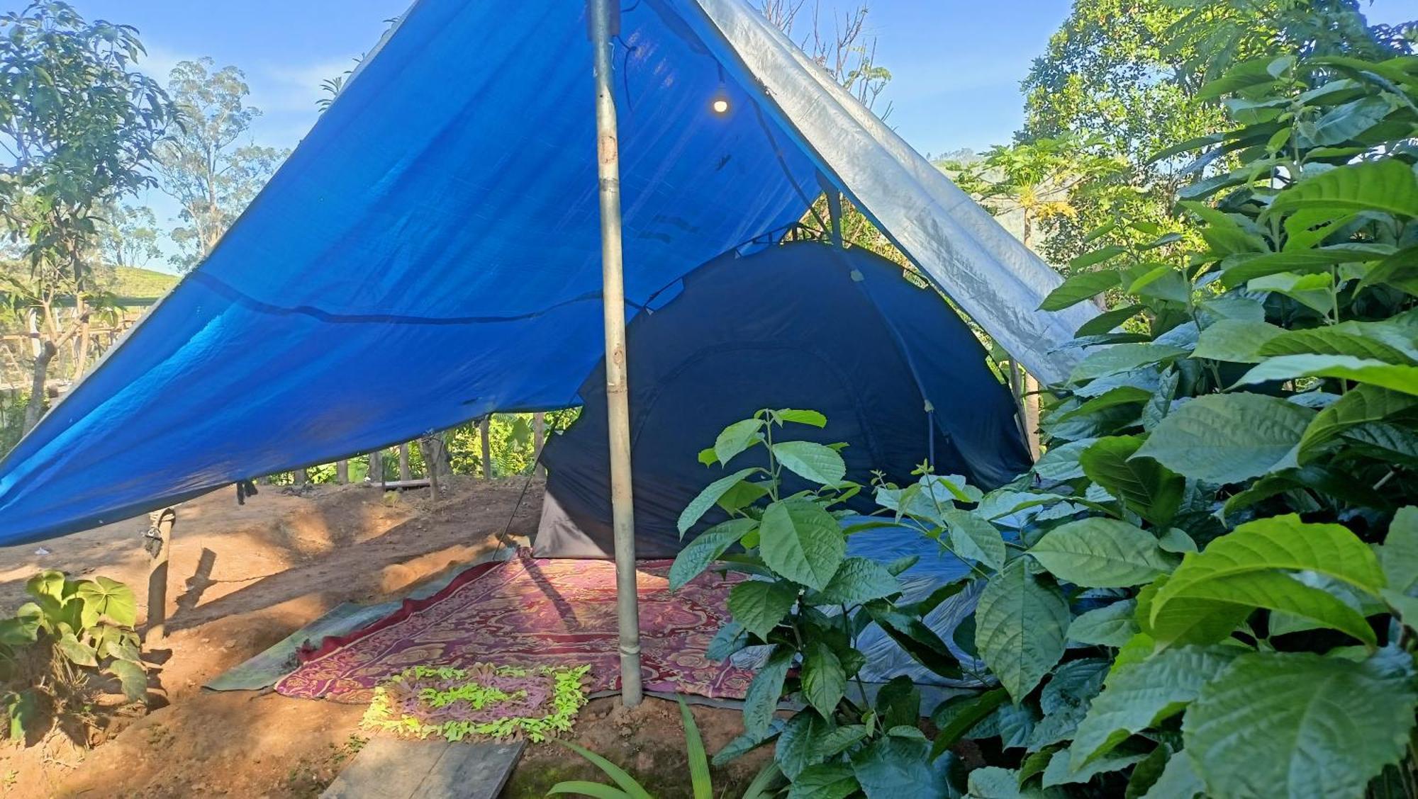 Freedom Camp Ella