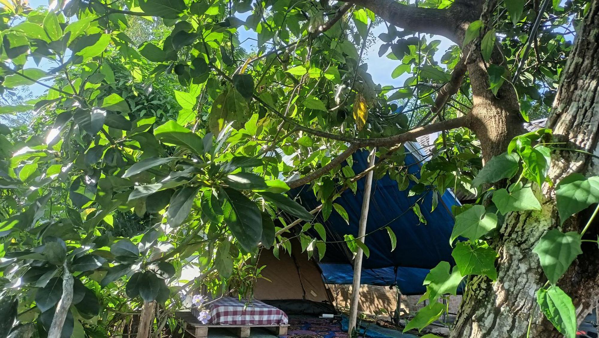 Freedom Camp