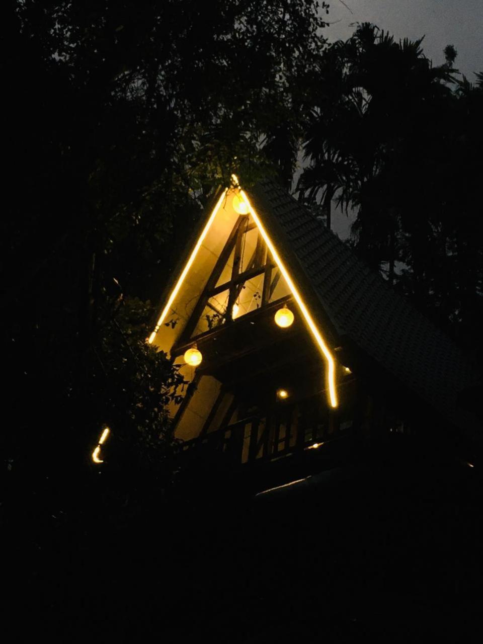 The Jungle Lodge *