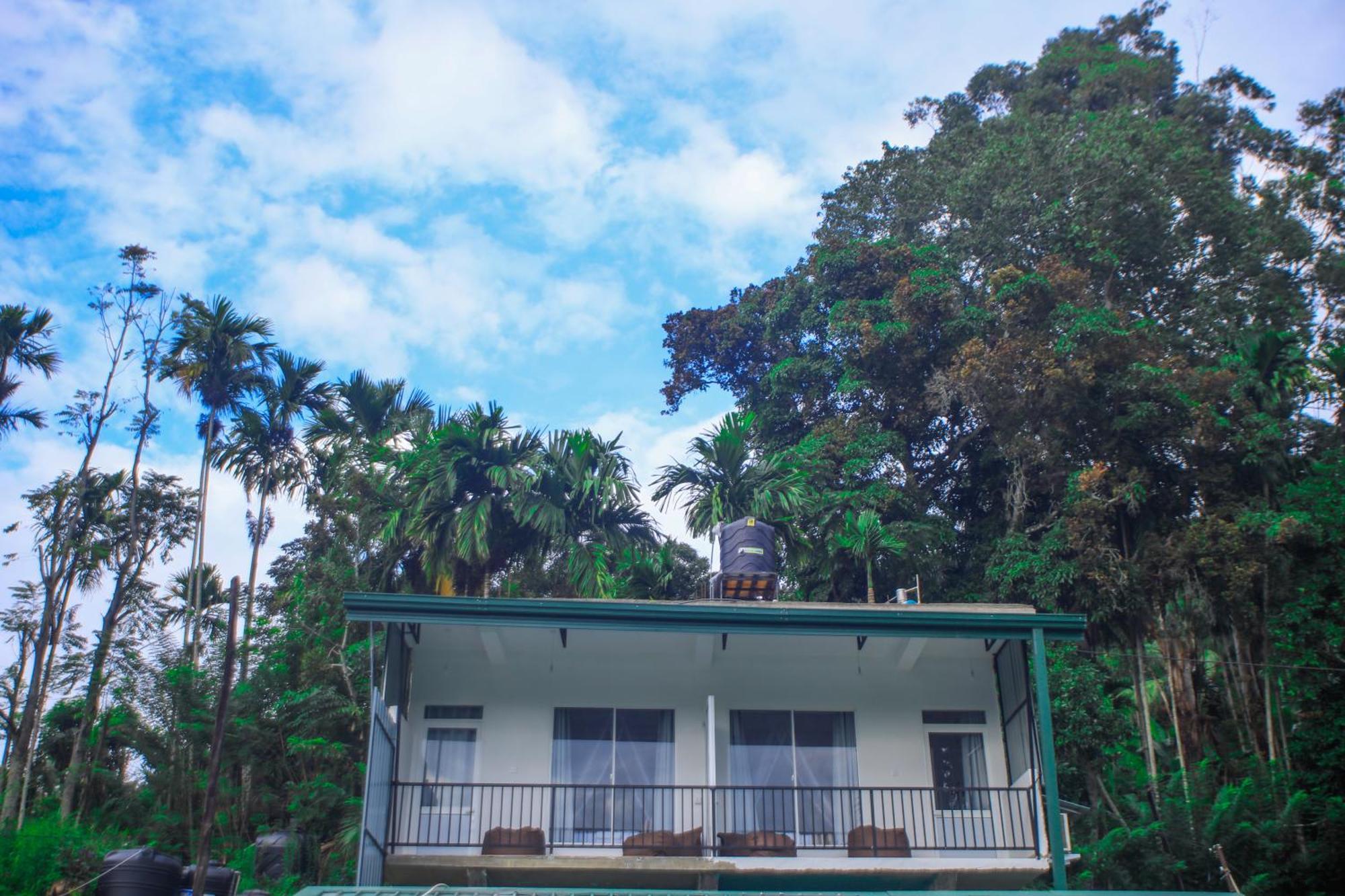 Nimal Nest Ella