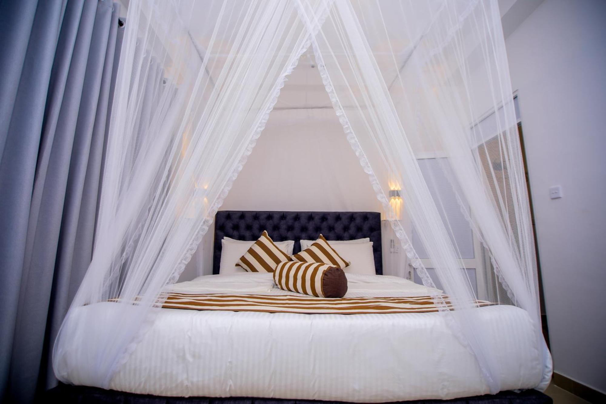 Nimal Nest