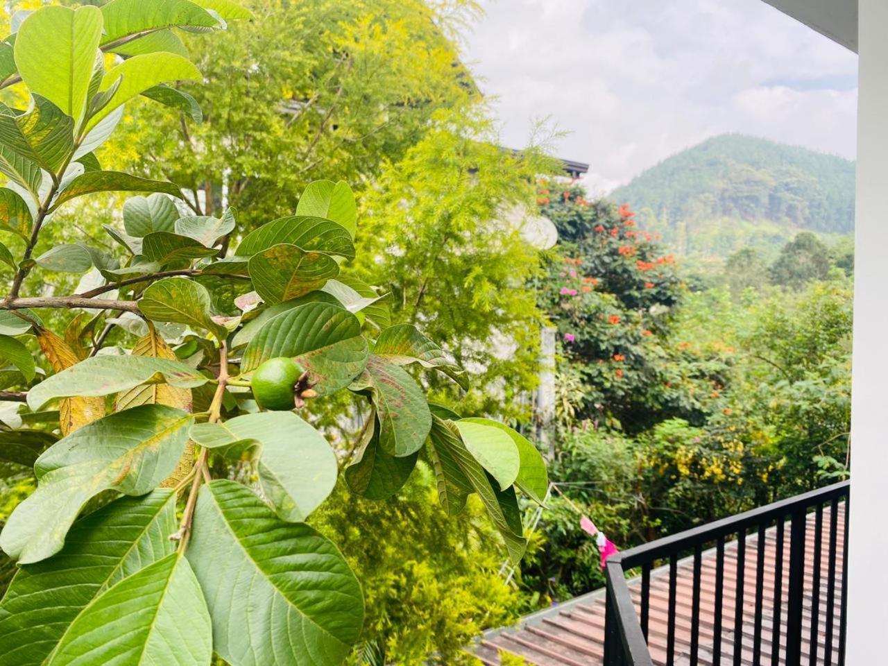 Leafy Homestay Ella