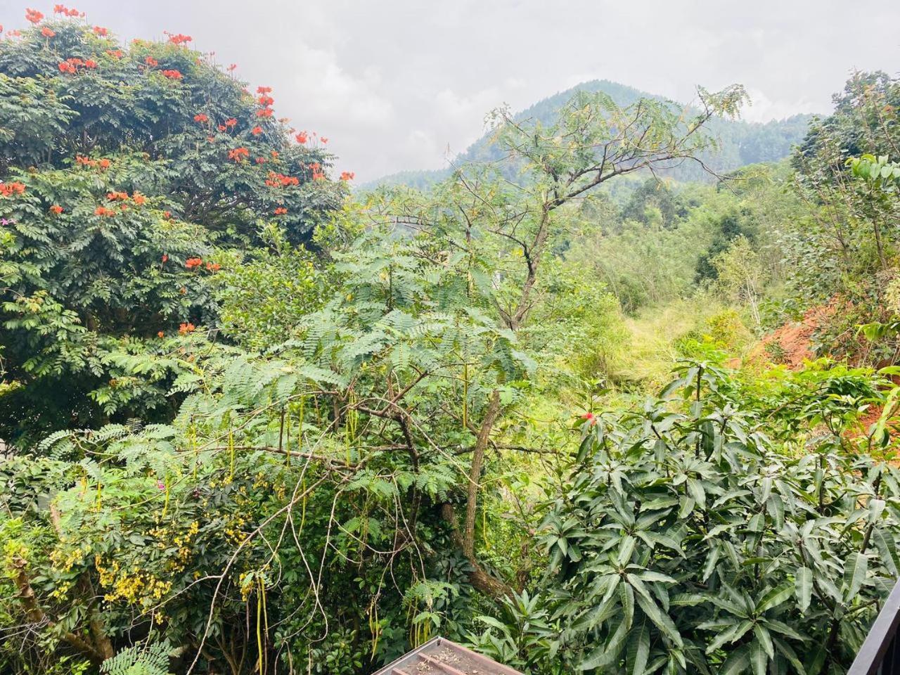 Homestay Leafy
