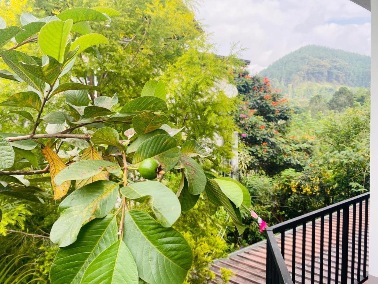 Leafy Homestay