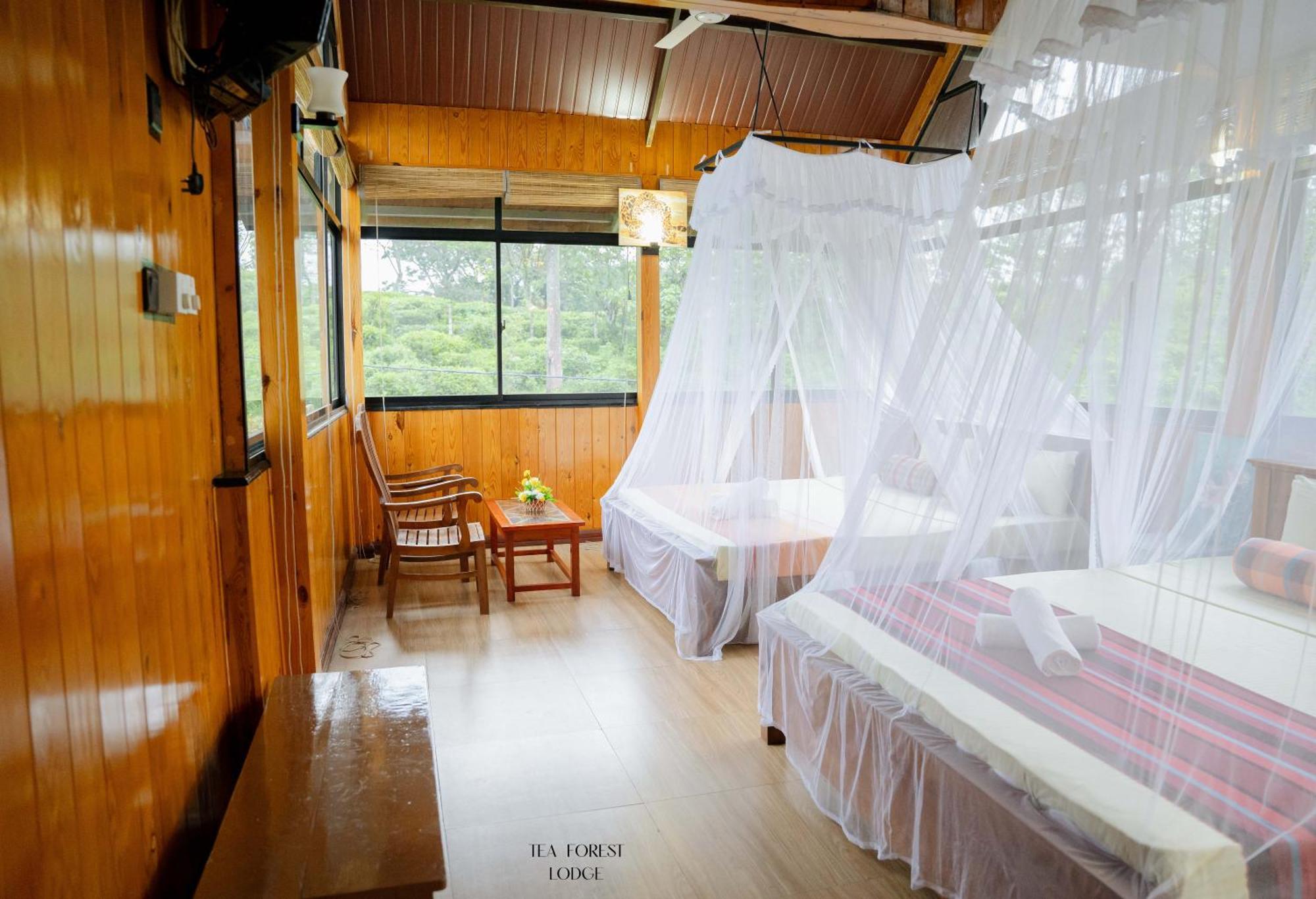 Guest house Tea Forest