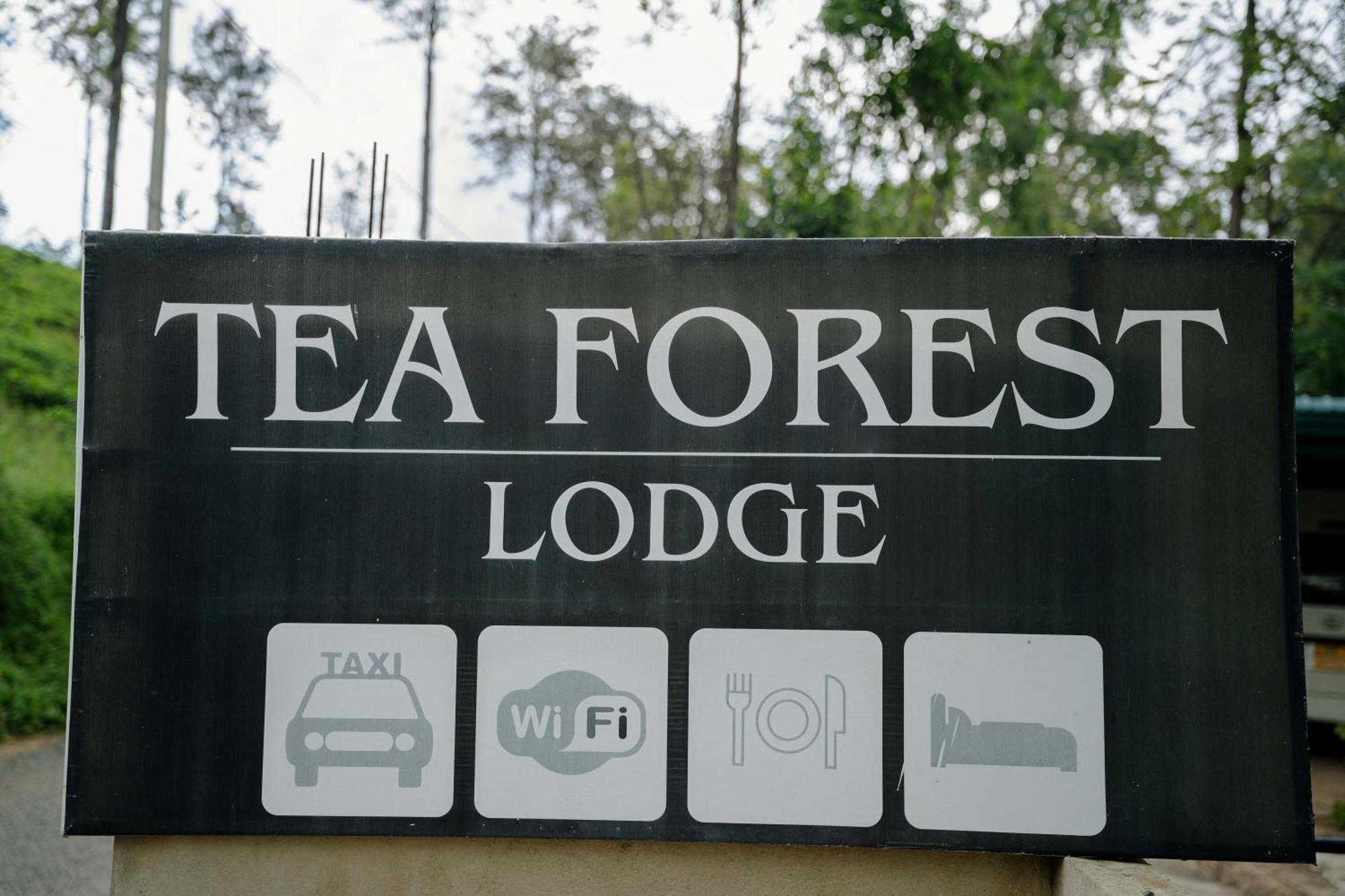 Tea Forest Guest house